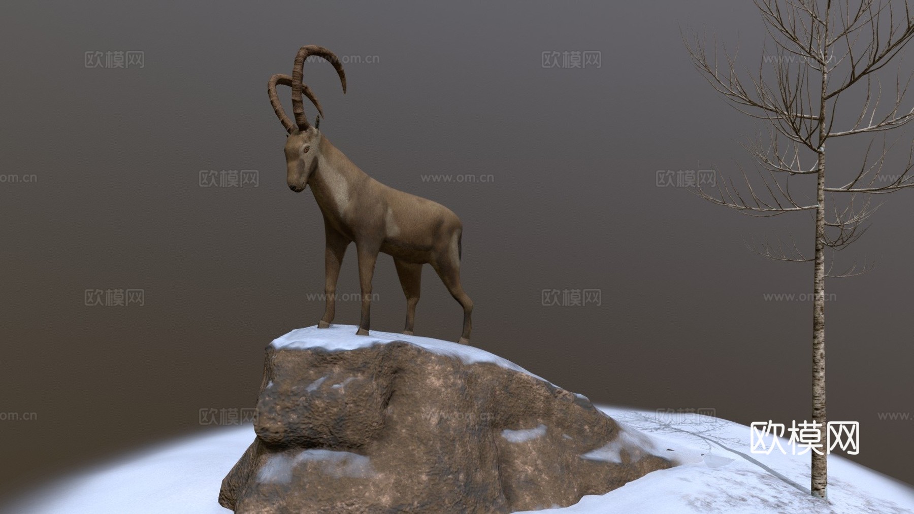 纹理化北山羊3d模型