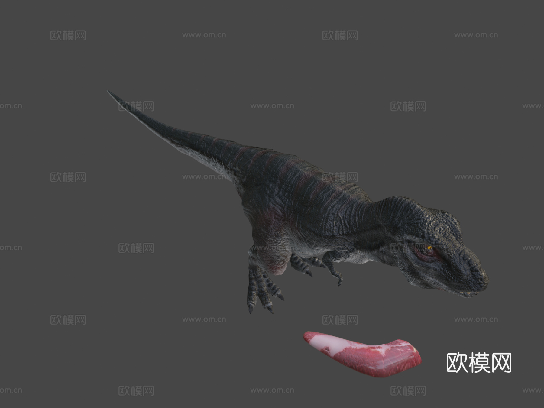 低多边形写实恐龙-霸王龙3d模型