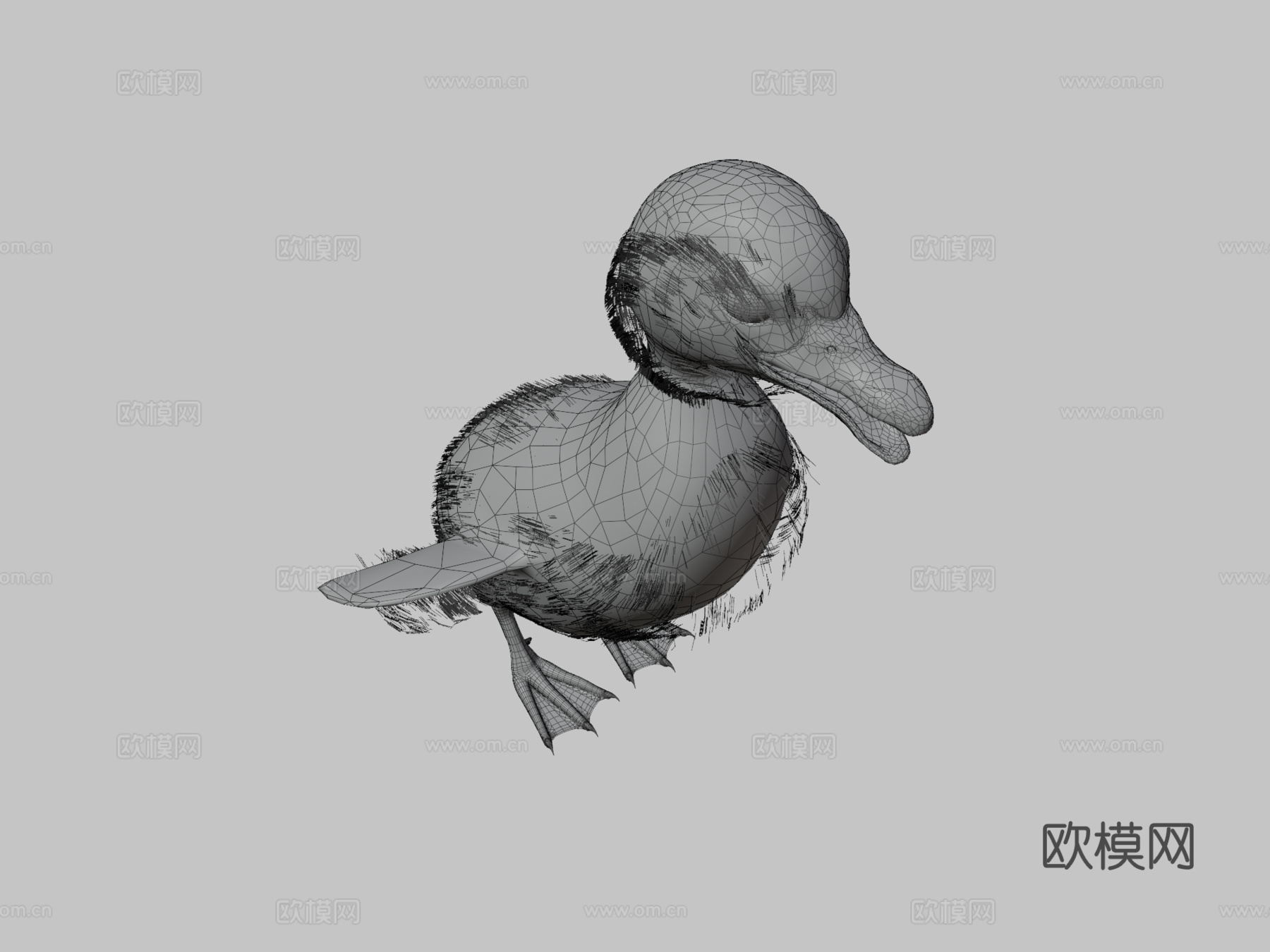 小鸭鸭3d模型