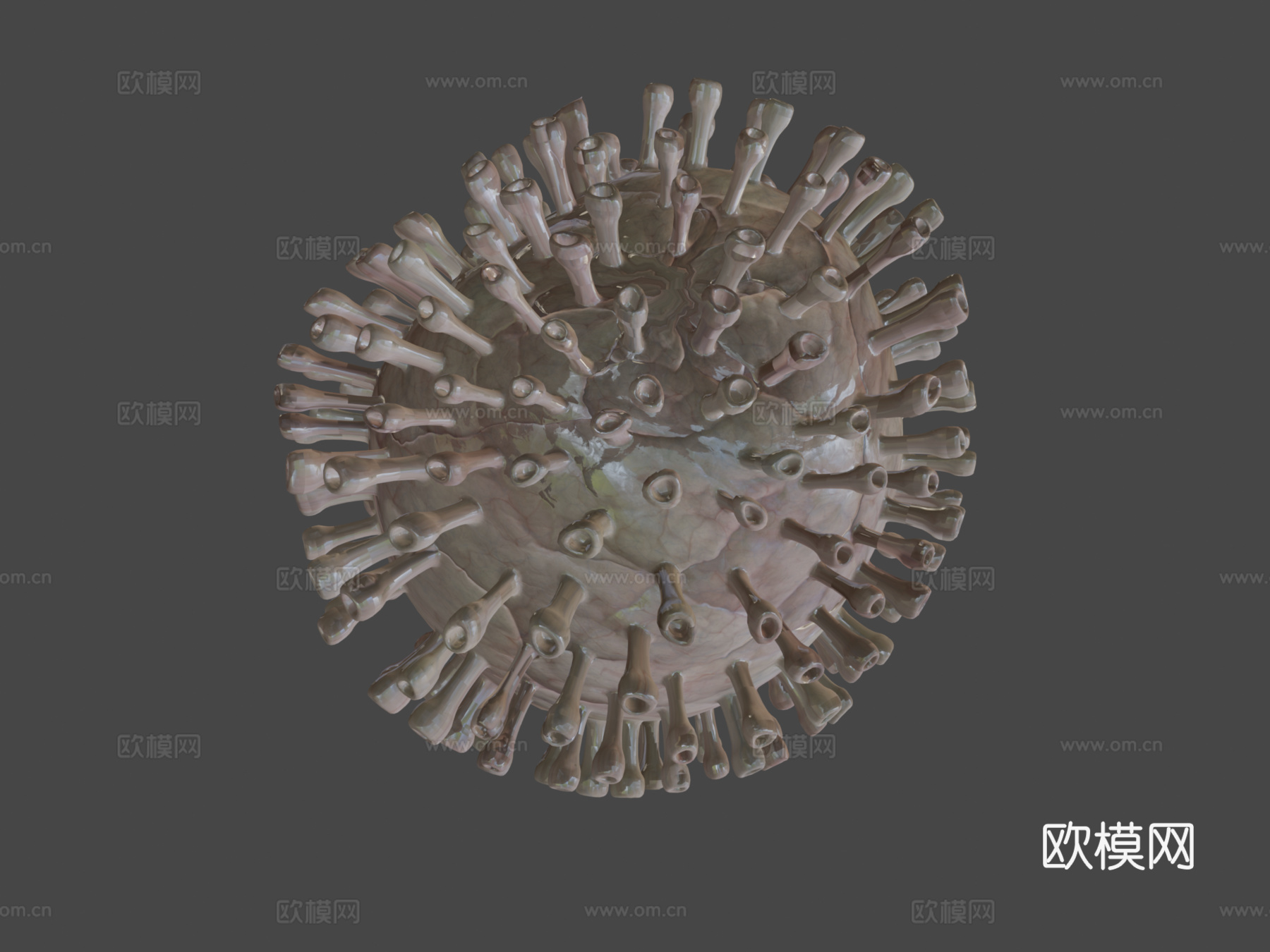 病毒5C动画3d模型