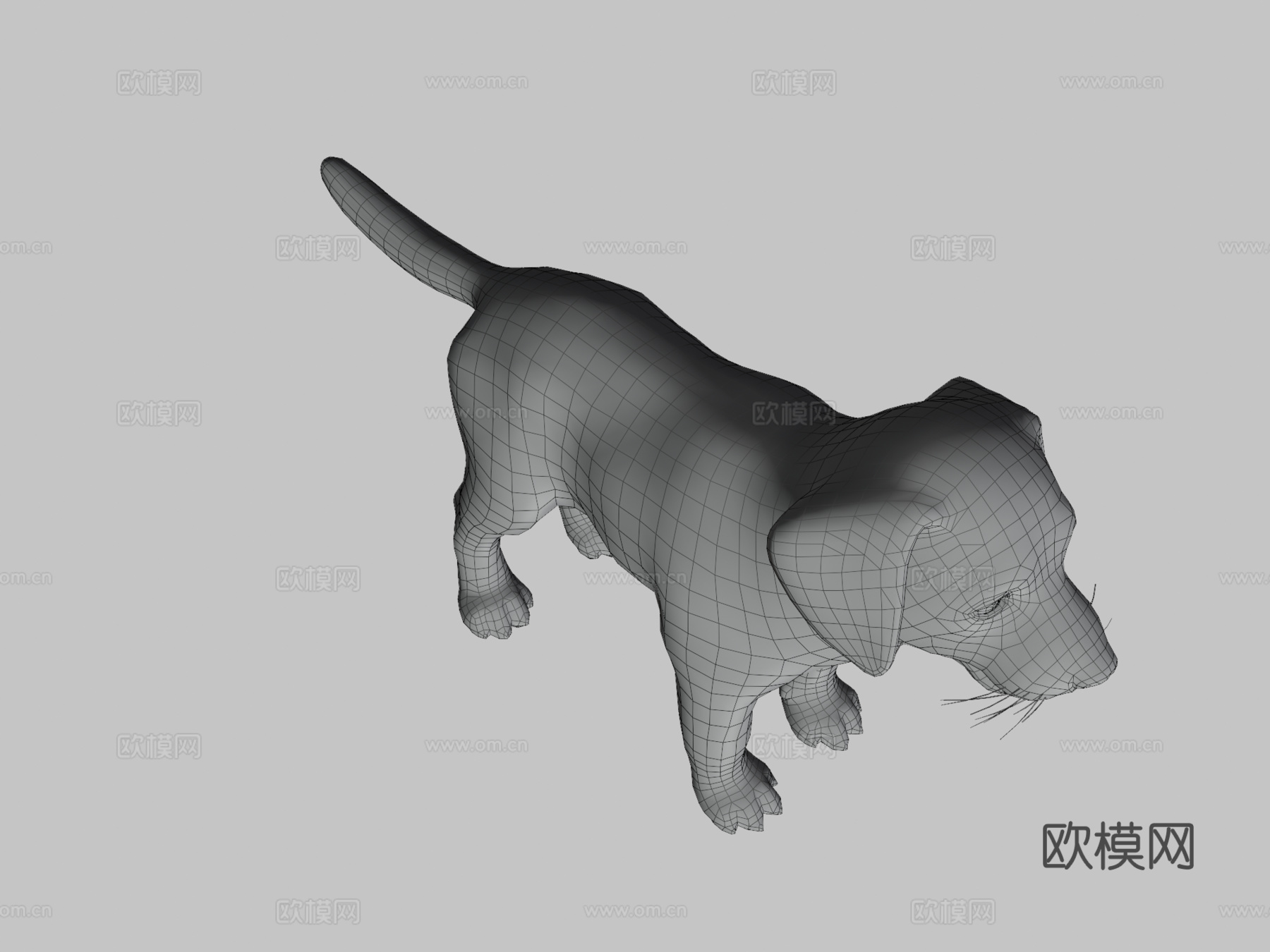 小狗-拉布拉多3d模型