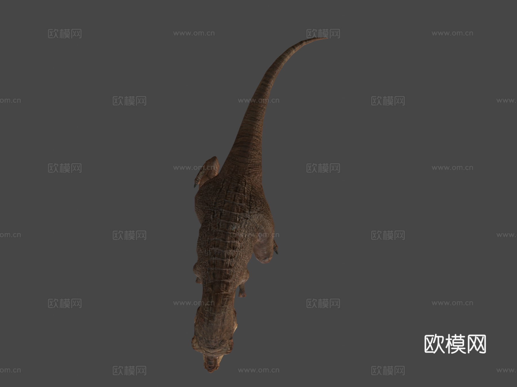 霸王龙3d模型