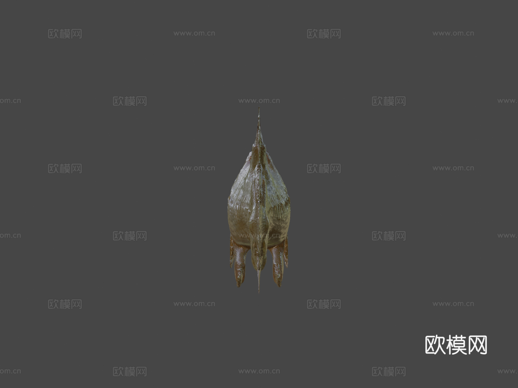 莫索尼鱼3d模型