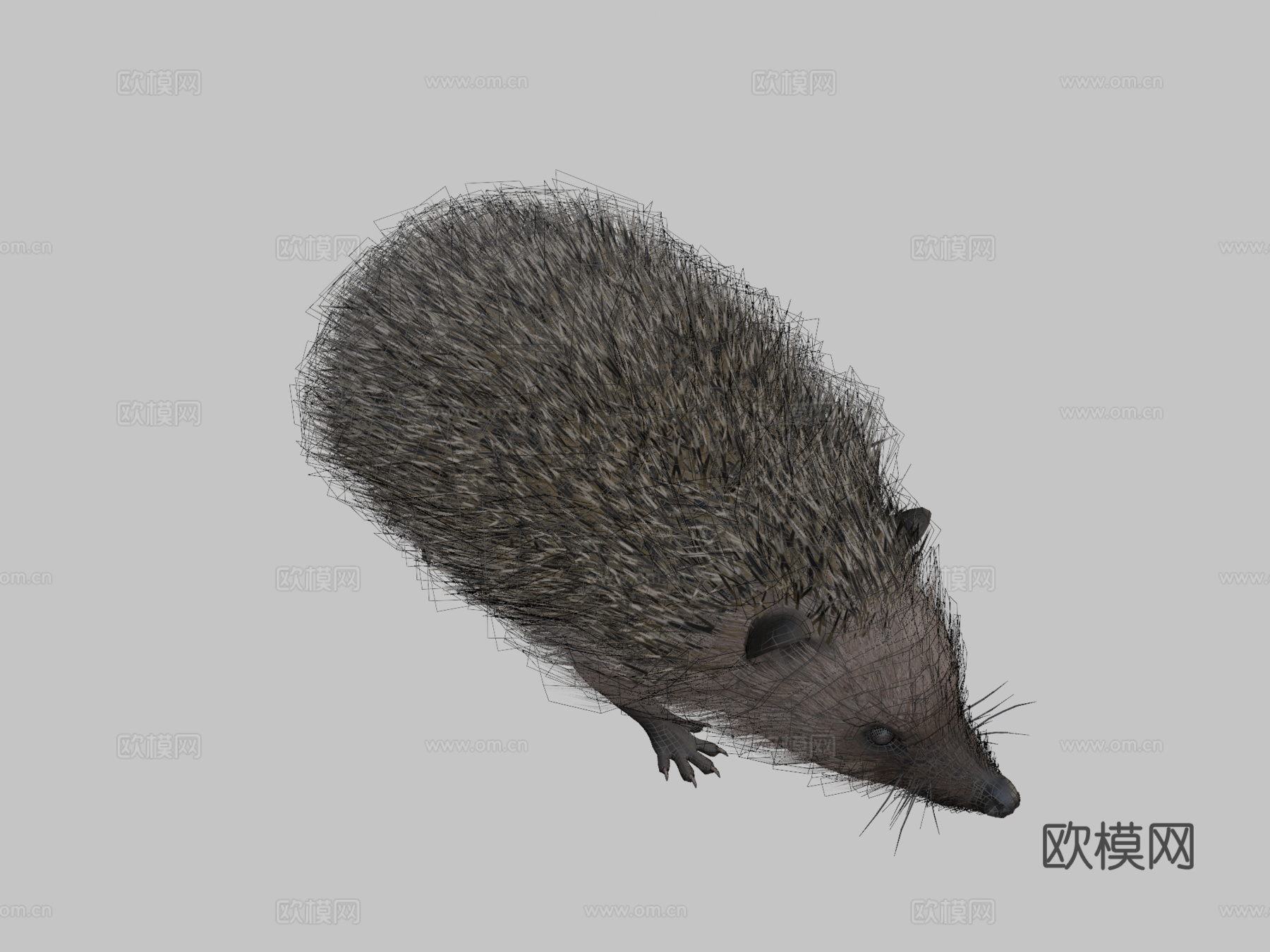 刺猬3d模型