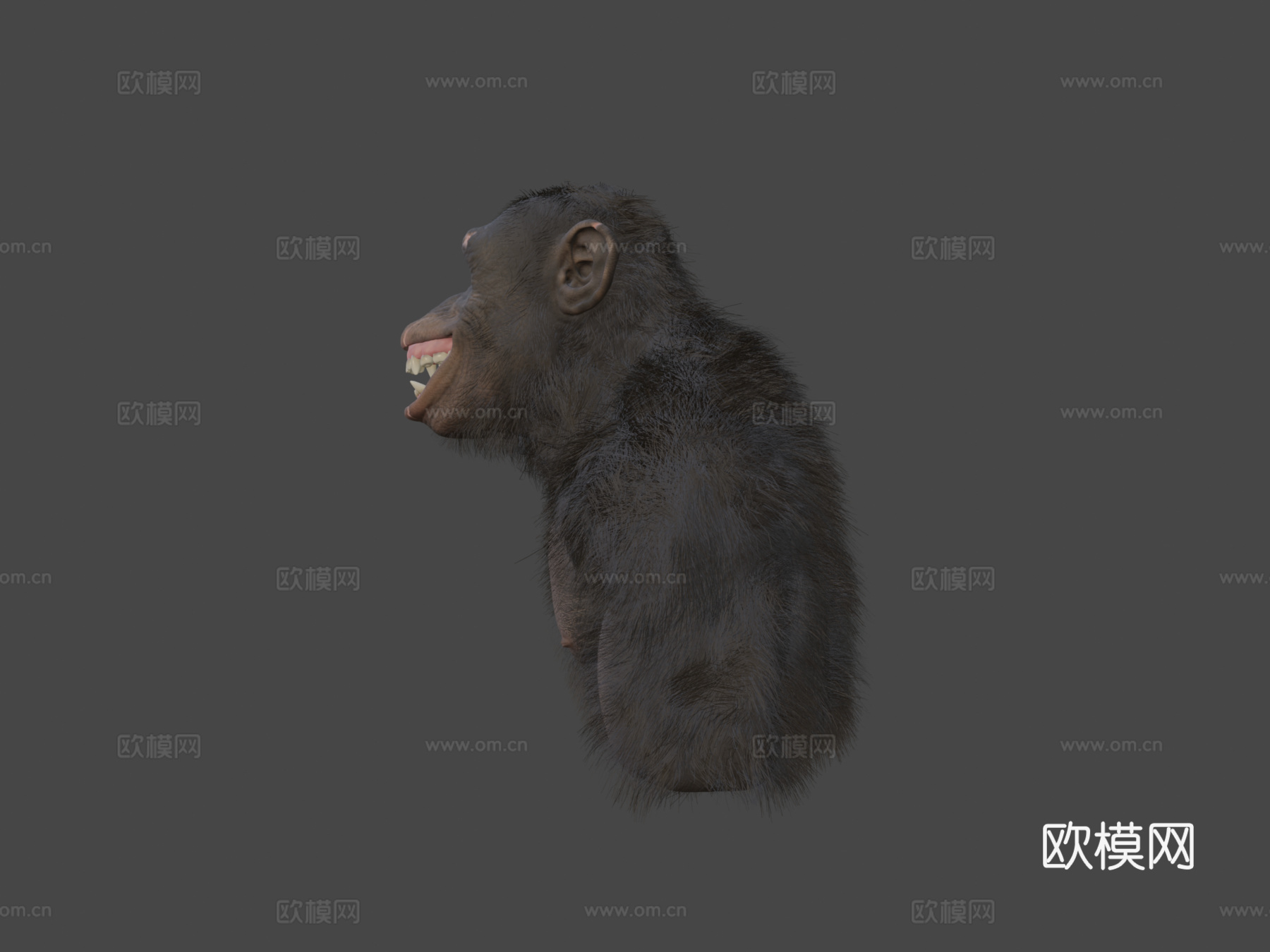 黑猩猩3d模型