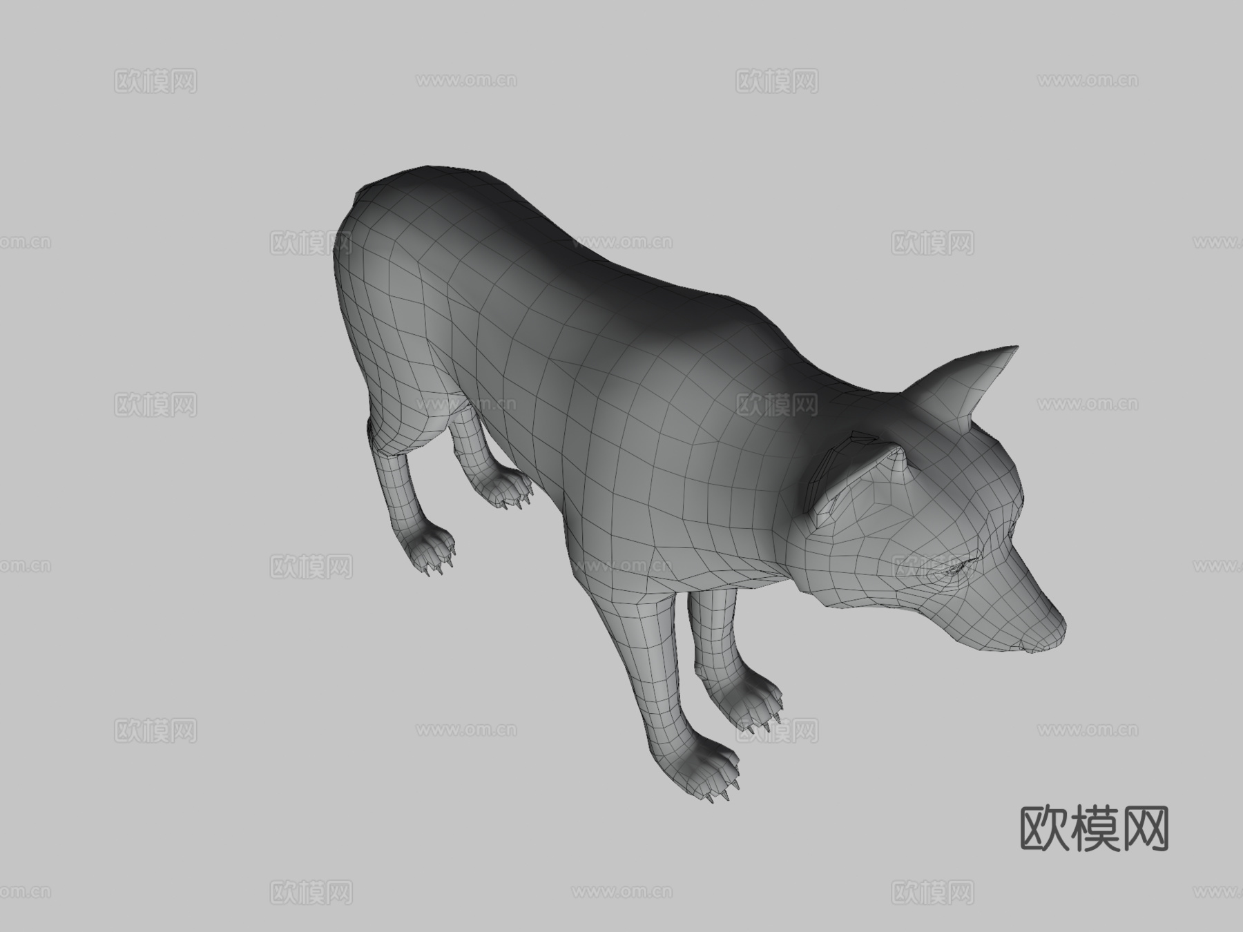 公狼3d模型