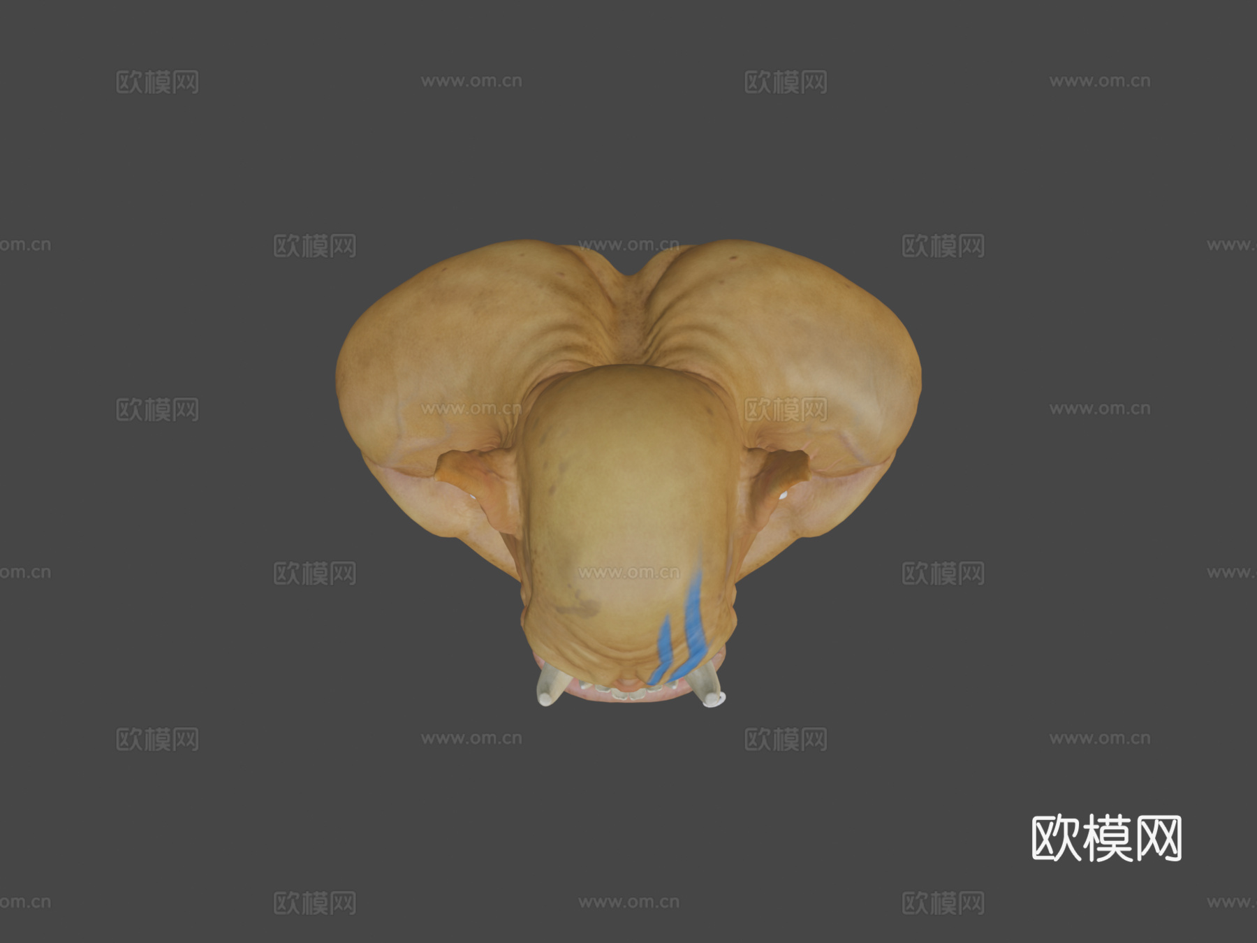 兽人半身像3d模型