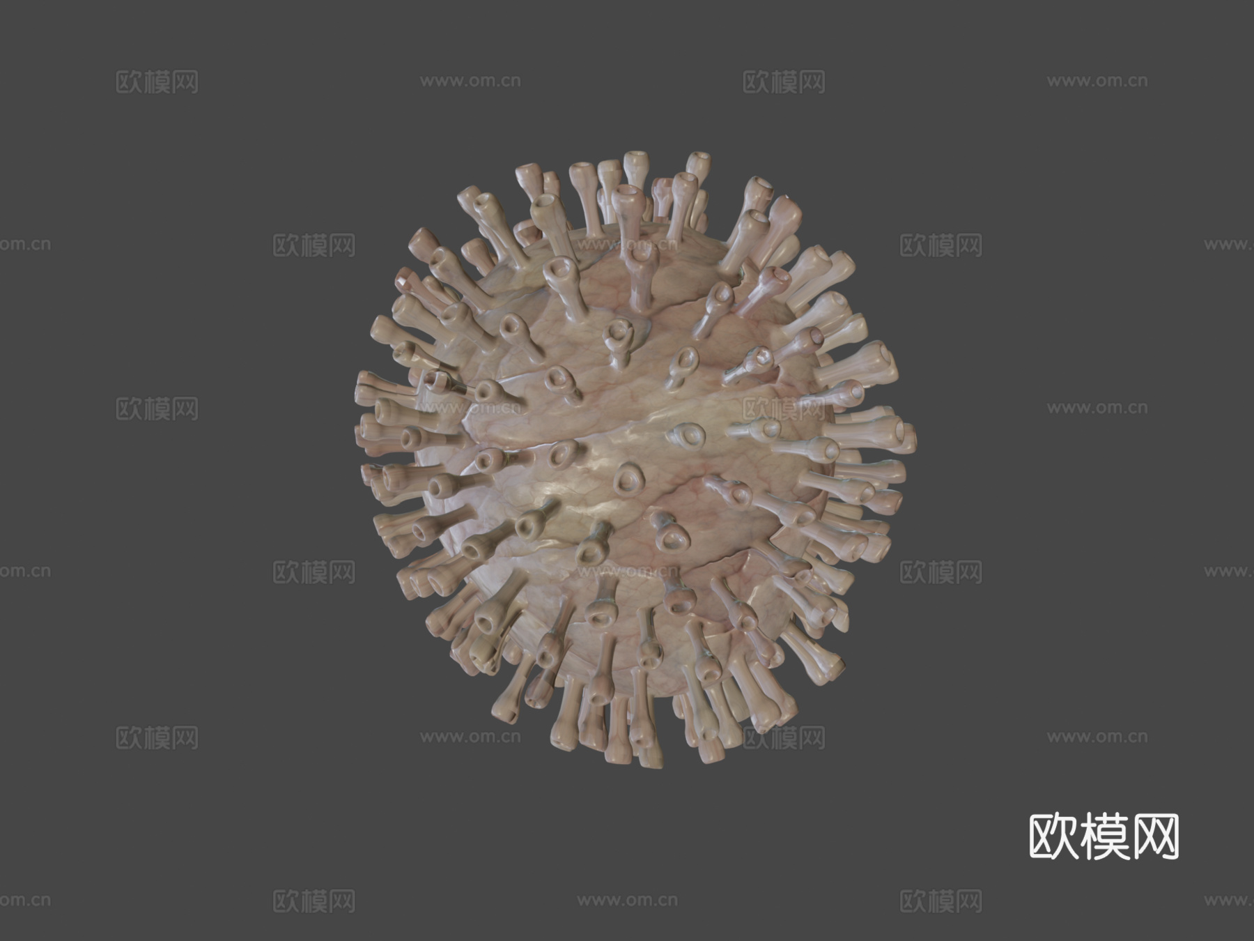 病毒5C动画3d模型