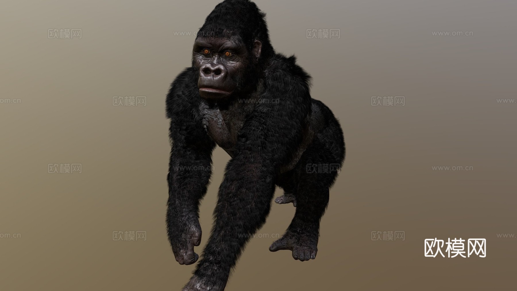 大猩猩3d模型