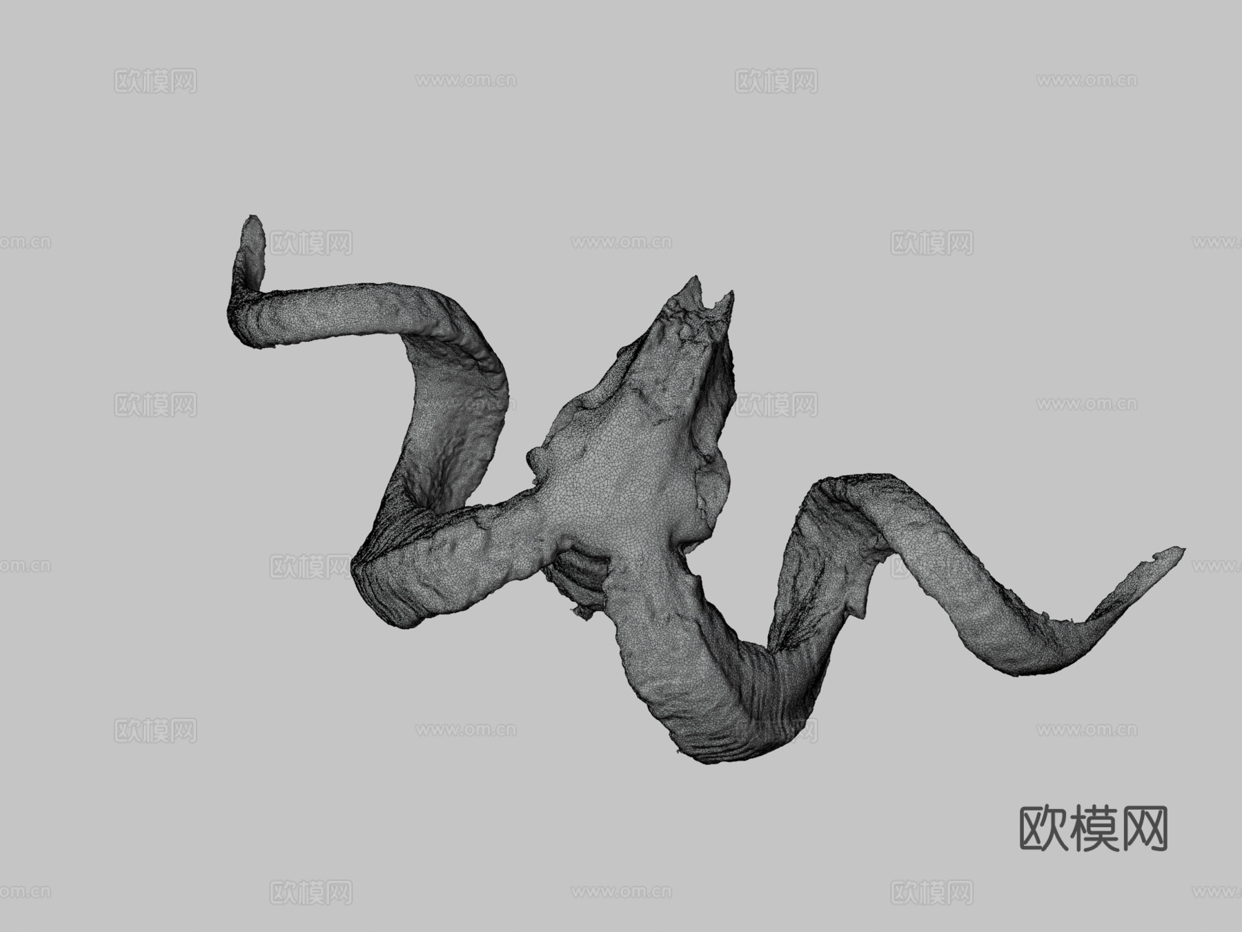 公羊头骨3d模型