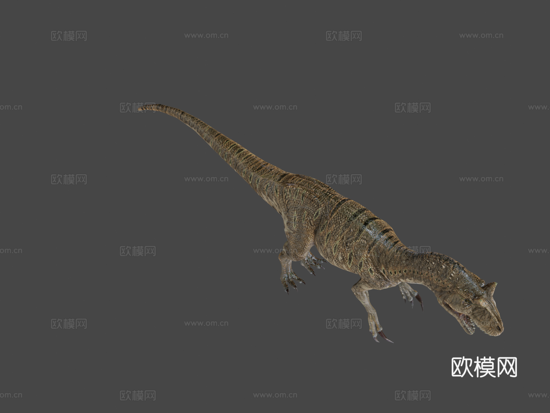 脆弱异特龙3d模型