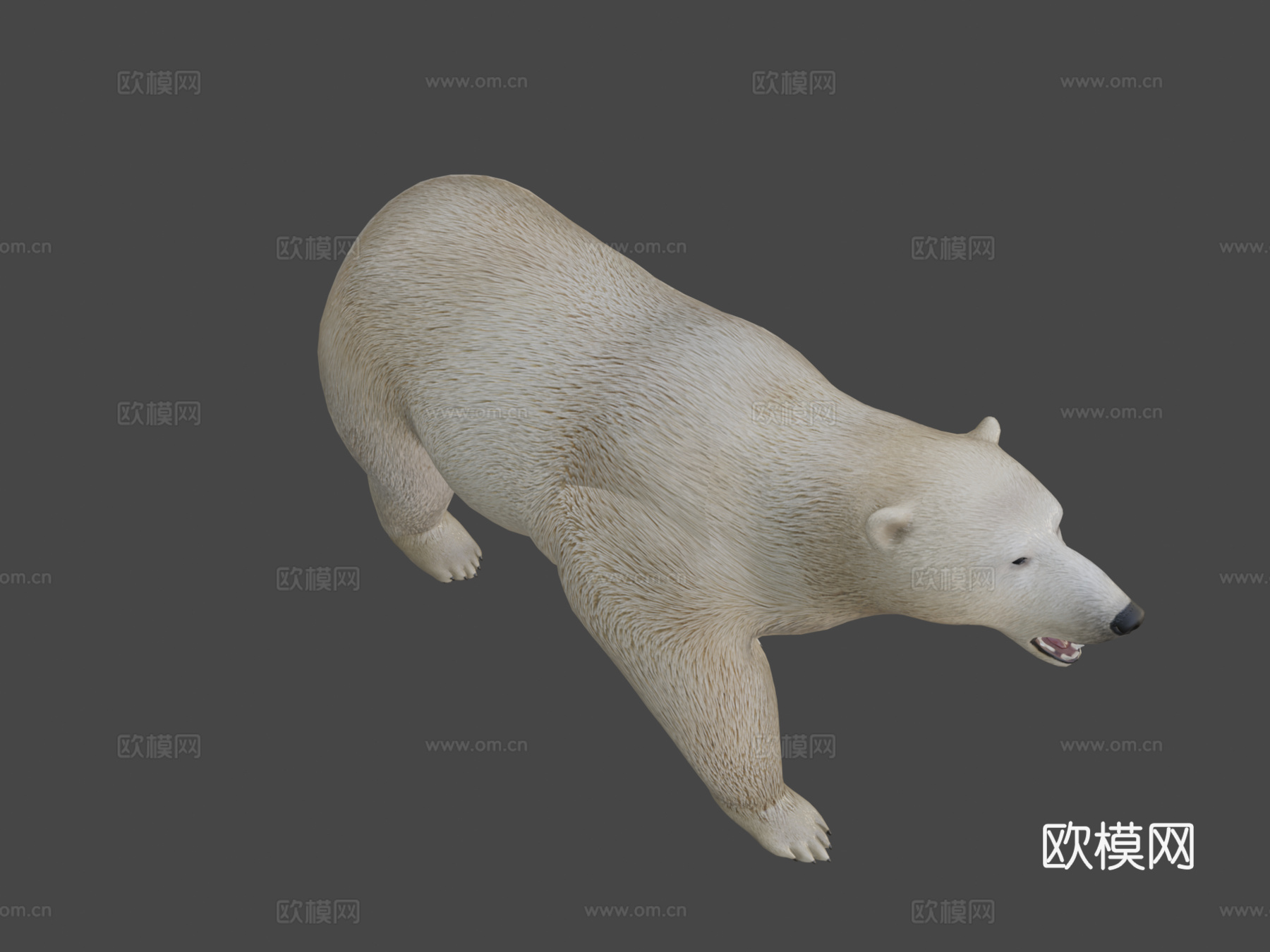 北极熊3d模型