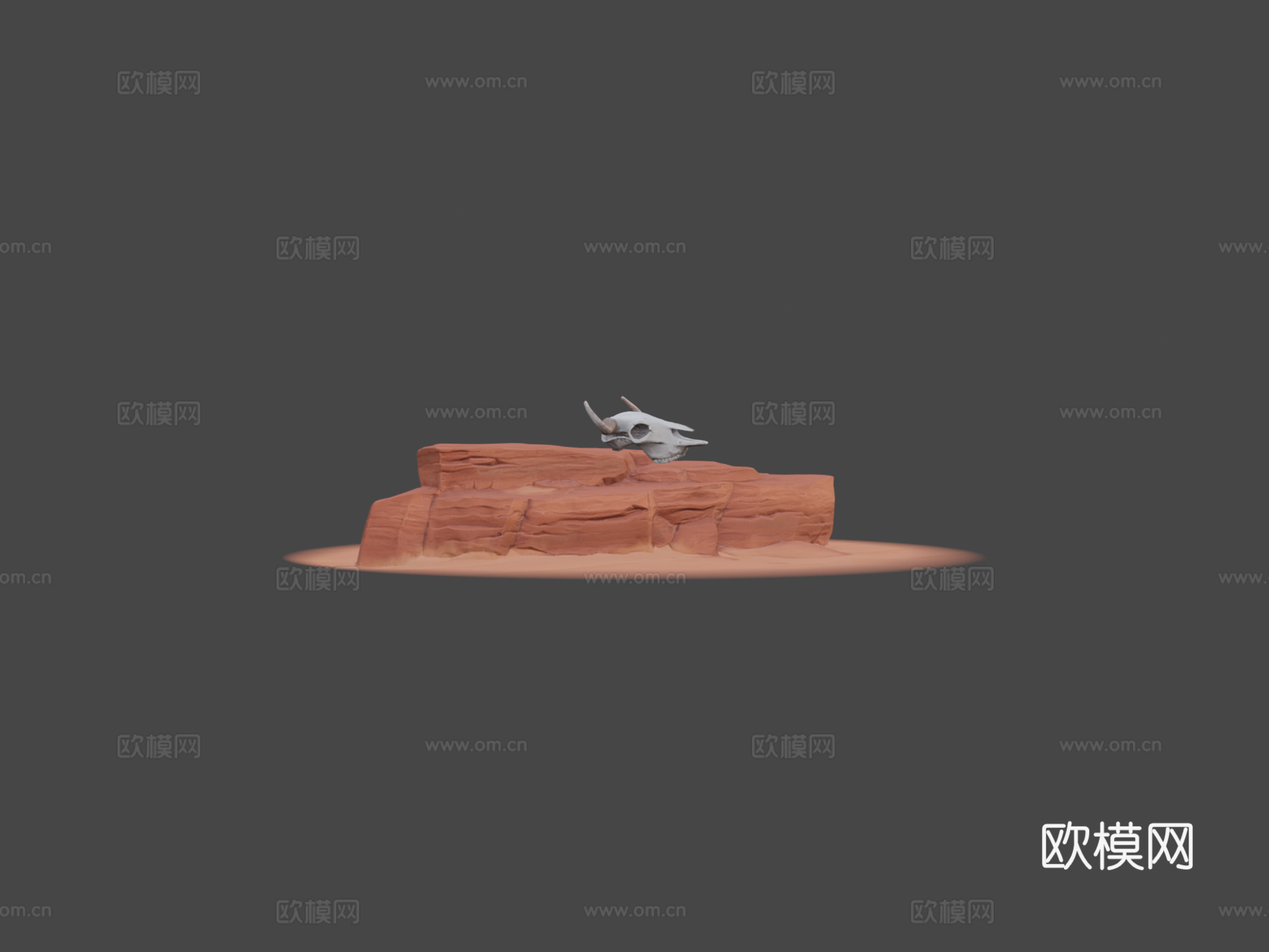 水牛头骨立体模型3d模型