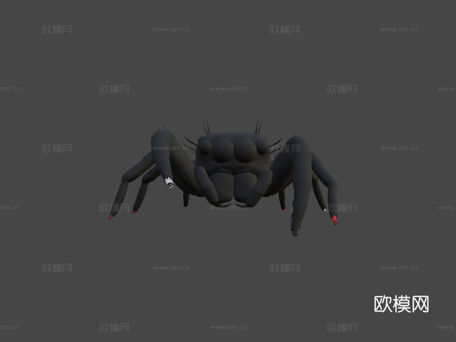 跳蛛3d模型