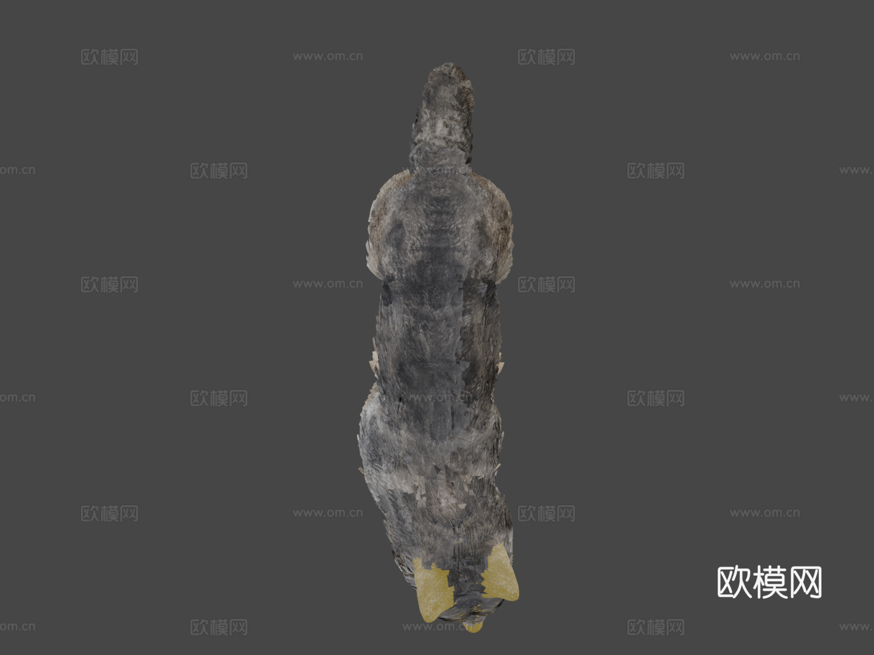 毛茸茸的狼3d模型