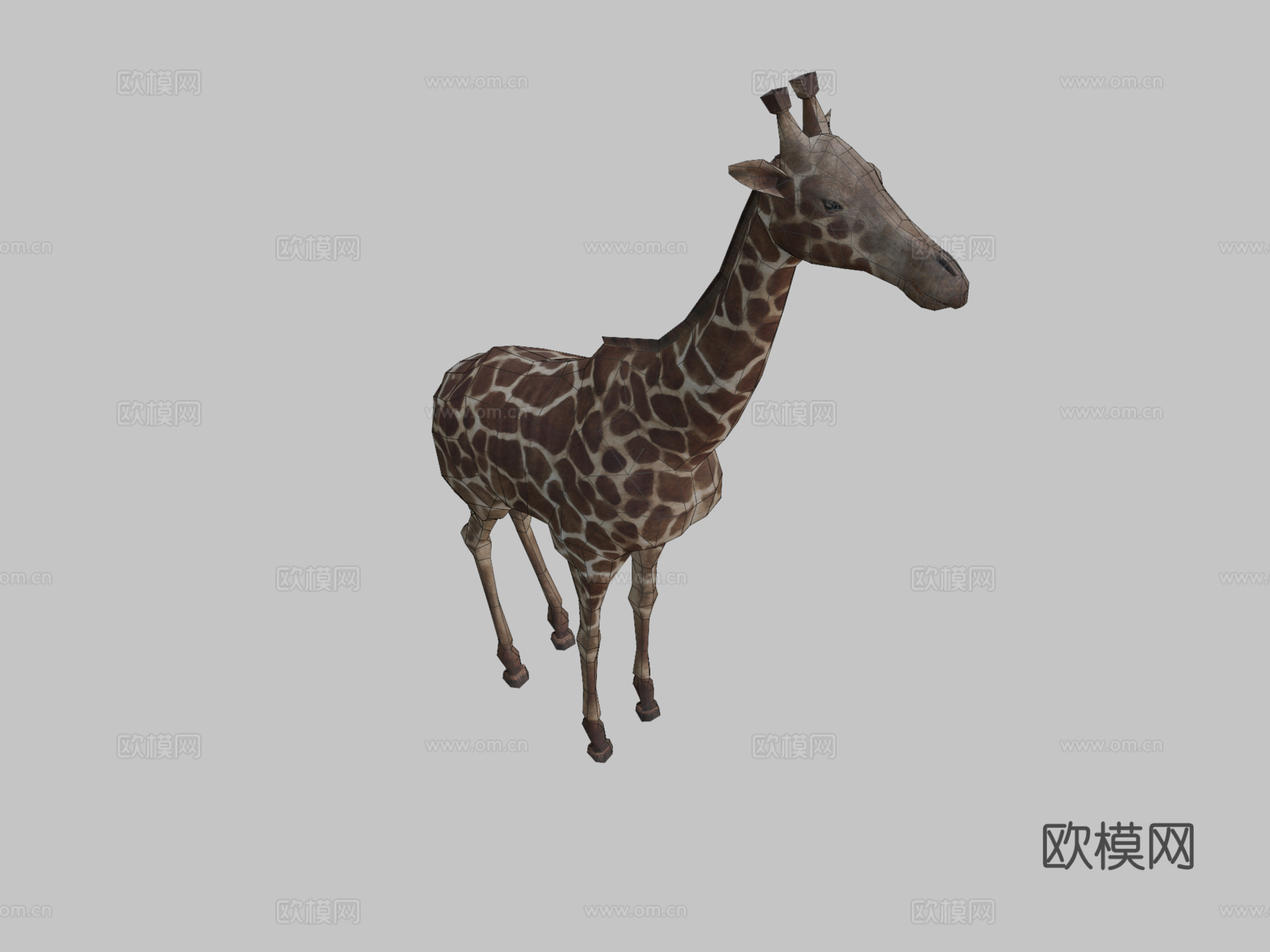 DRT-野生动物-长颈鹿3d模型