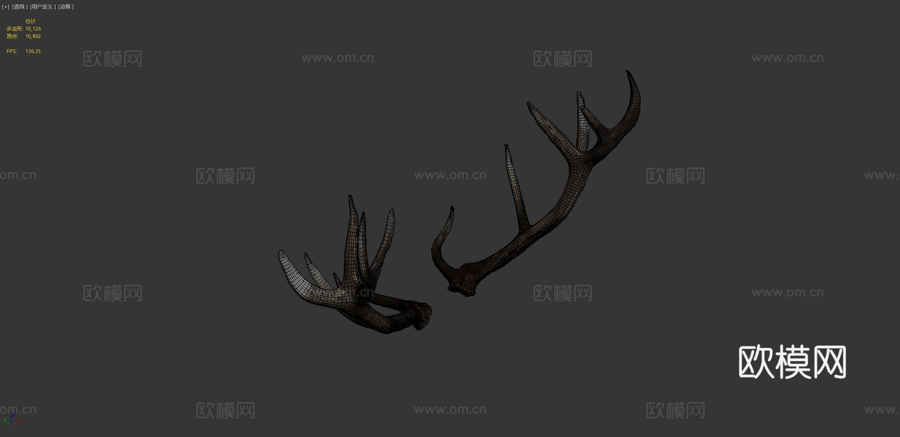 芦苇鹿角扫描3d模型