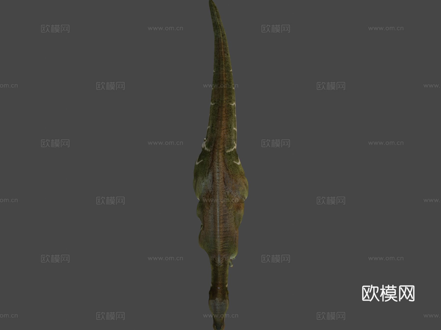 贝尔尼萨特禽龙3d模型