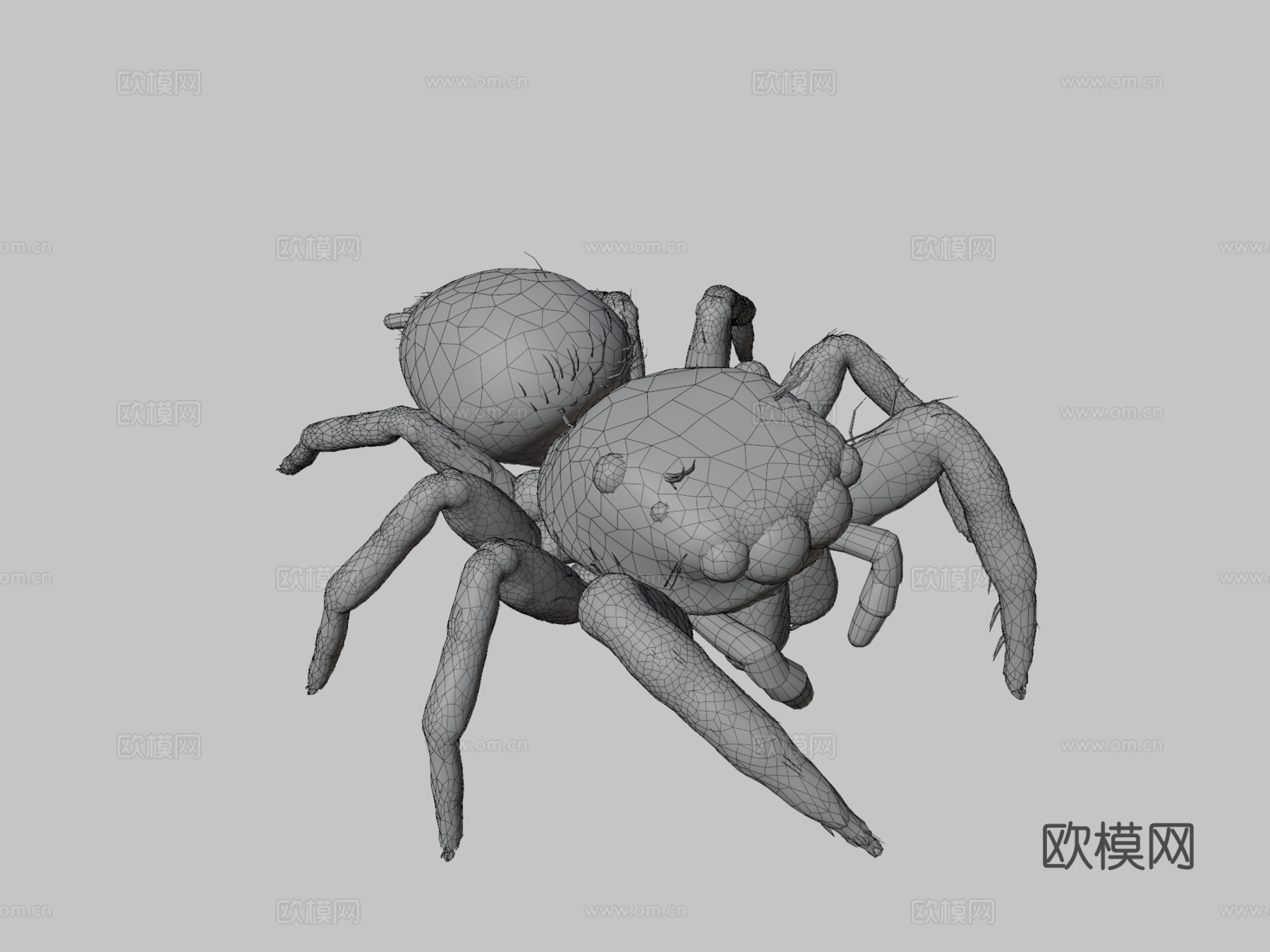 跳蛛3d模型