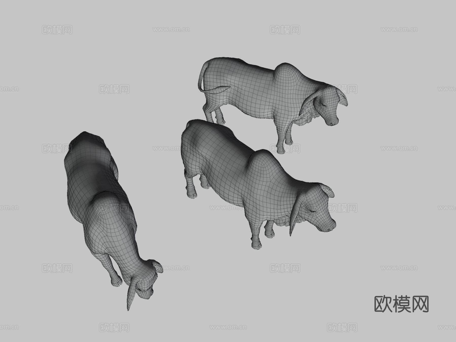 婆罗门牛3d模型