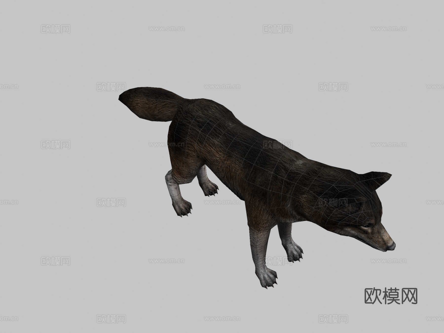 巨狼动画3d模型