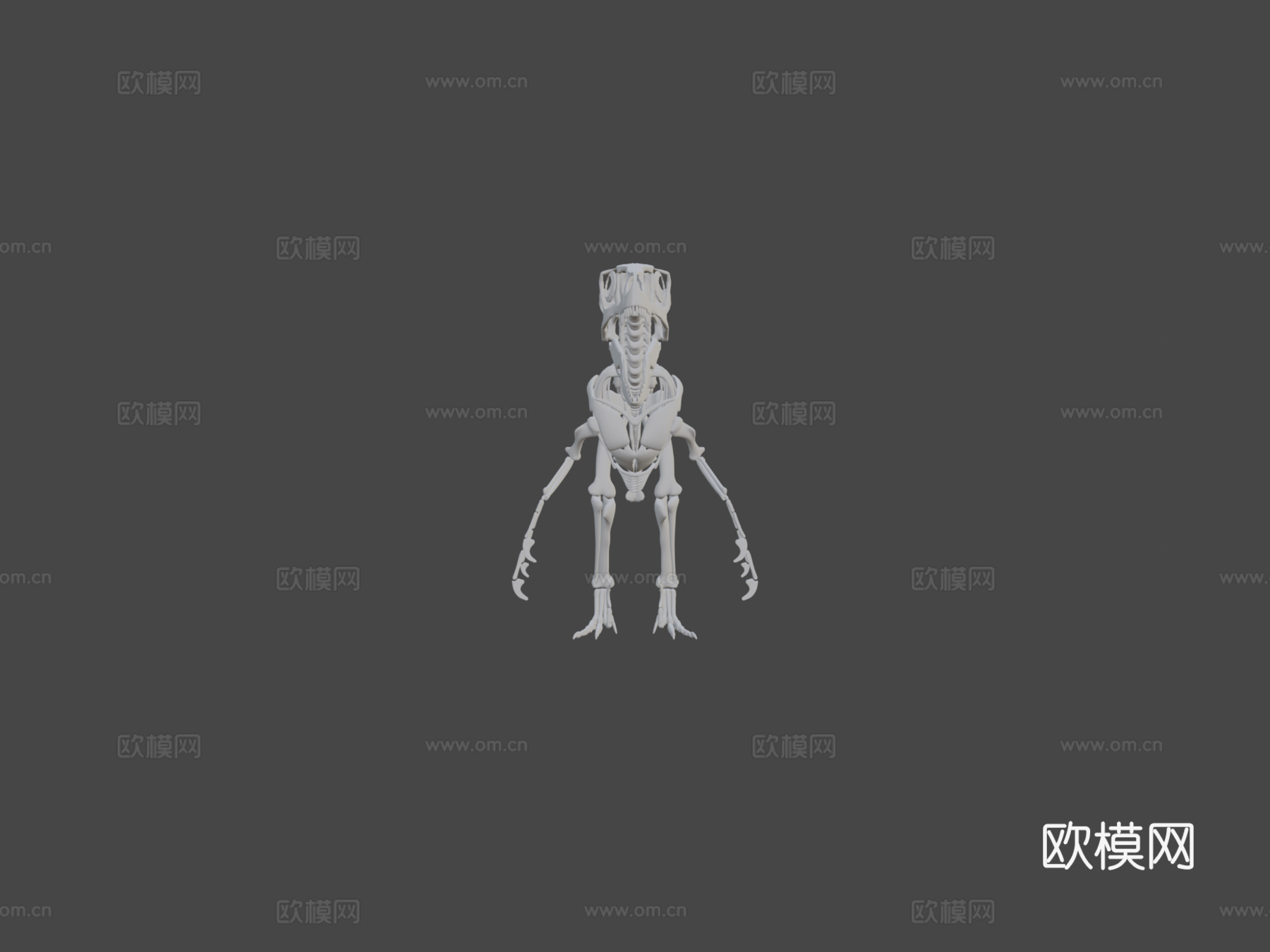 犹他盗龙骨架3d模型