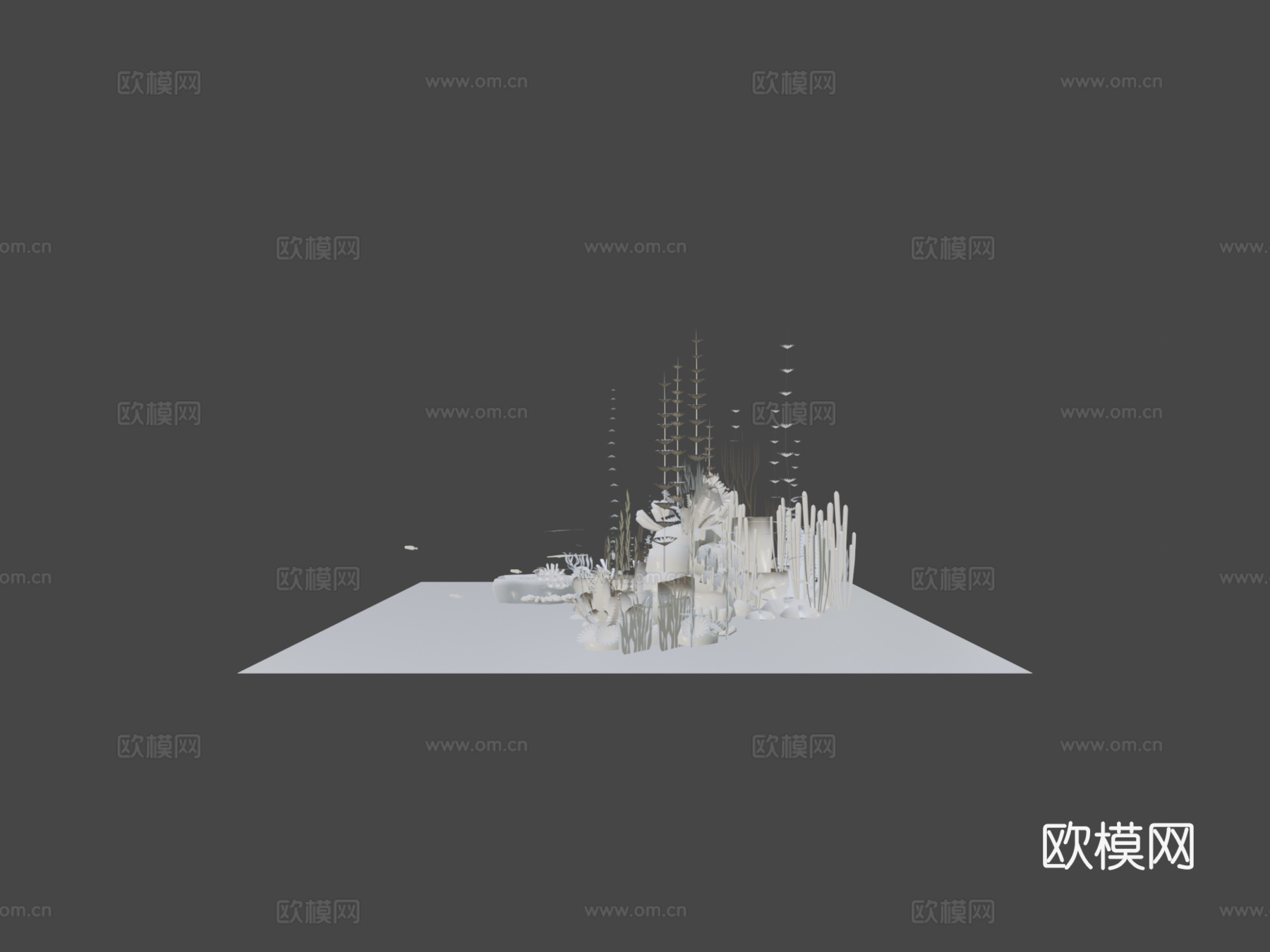 美丽海鱼3d模型