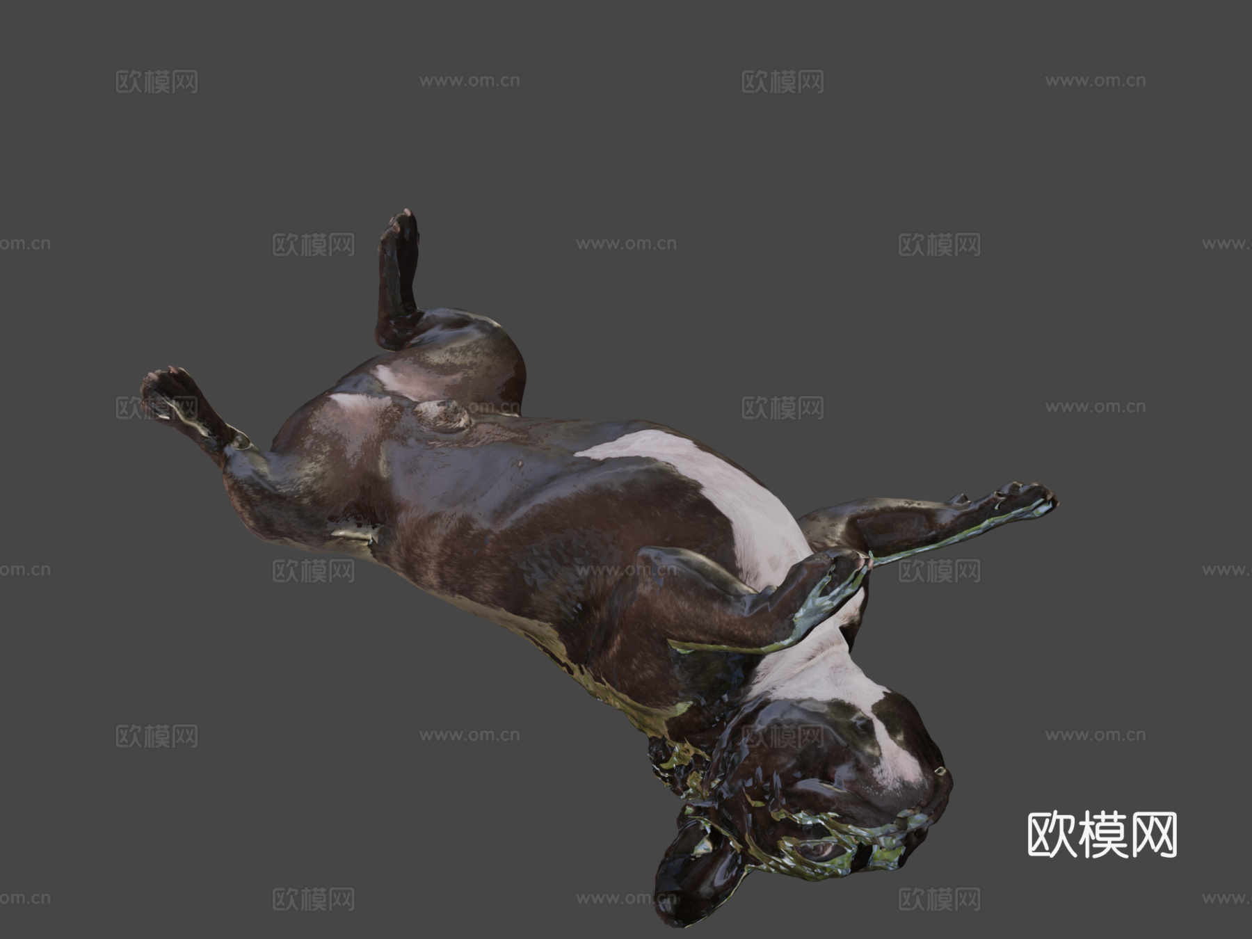 狗B-113-斗牛犬3d模型