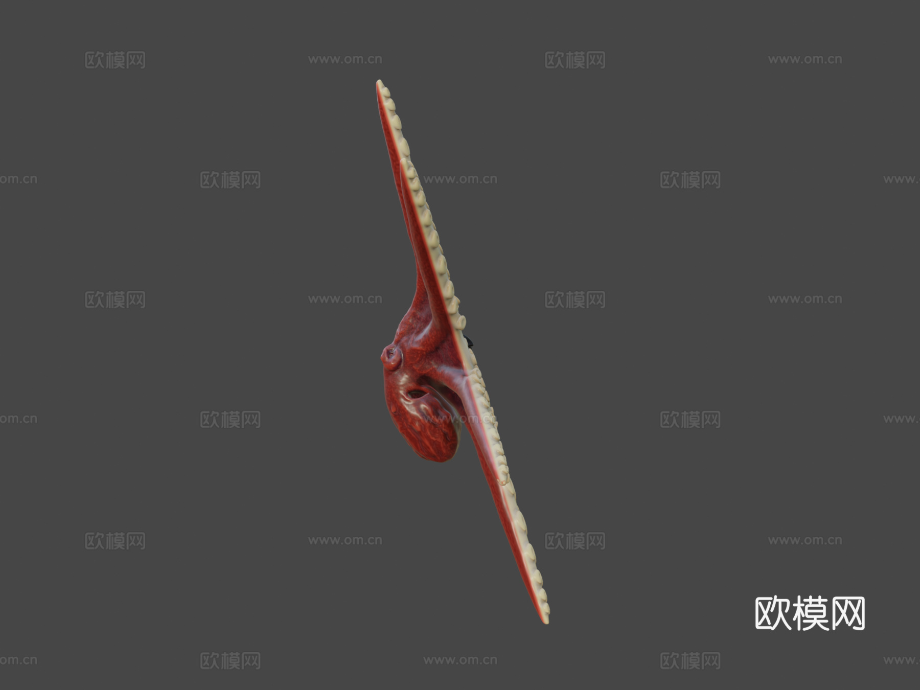 章鱼3d模型