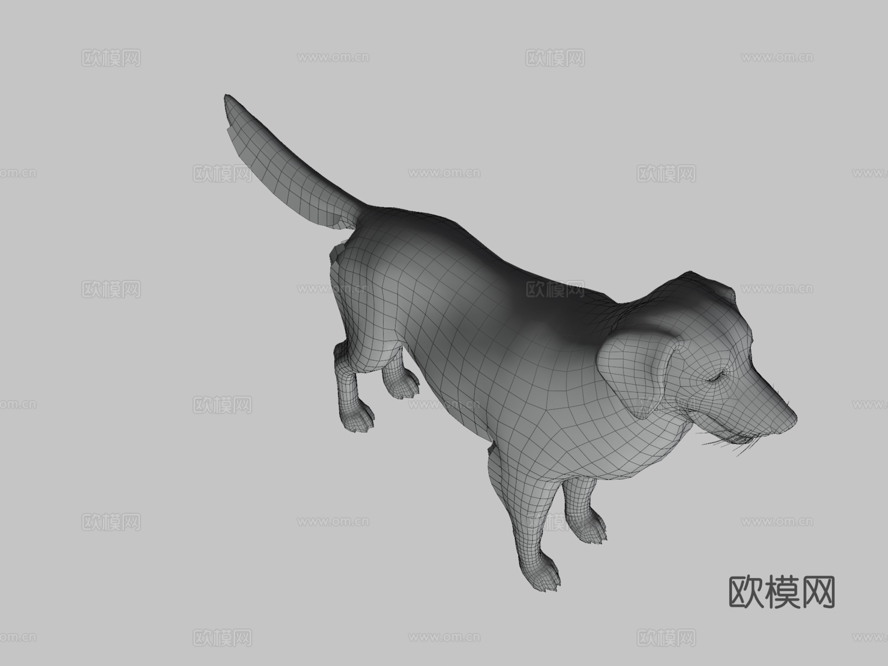 狗-金毛寻回犬v23d模型