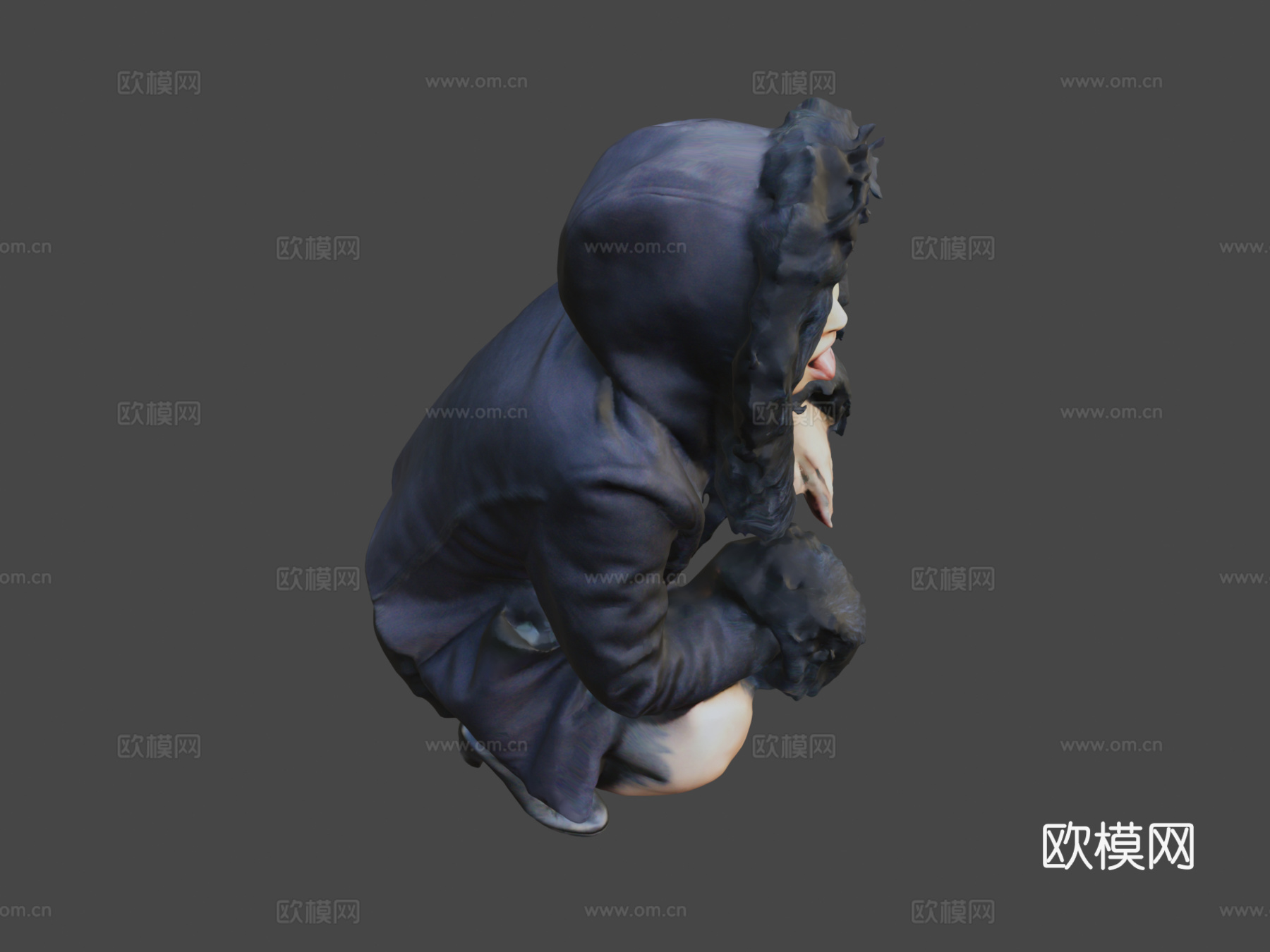 罂粟花舌3d模型