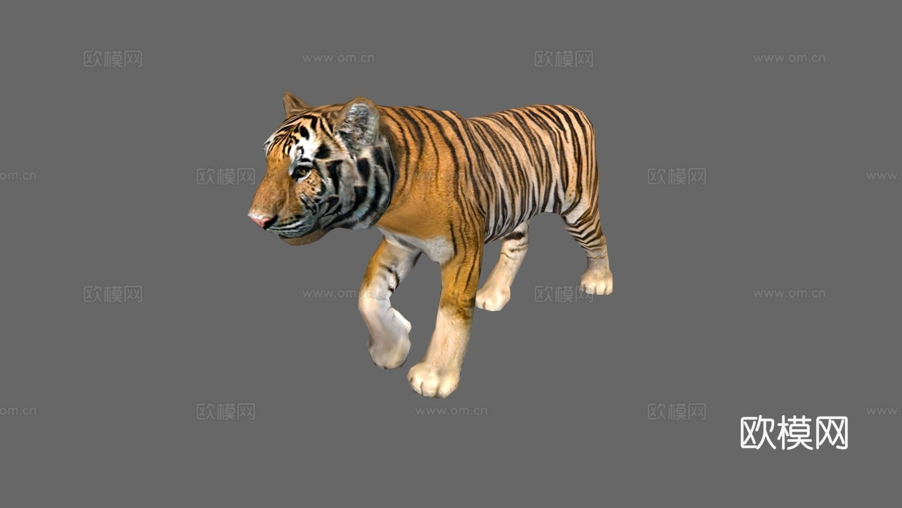 老虎3d模型