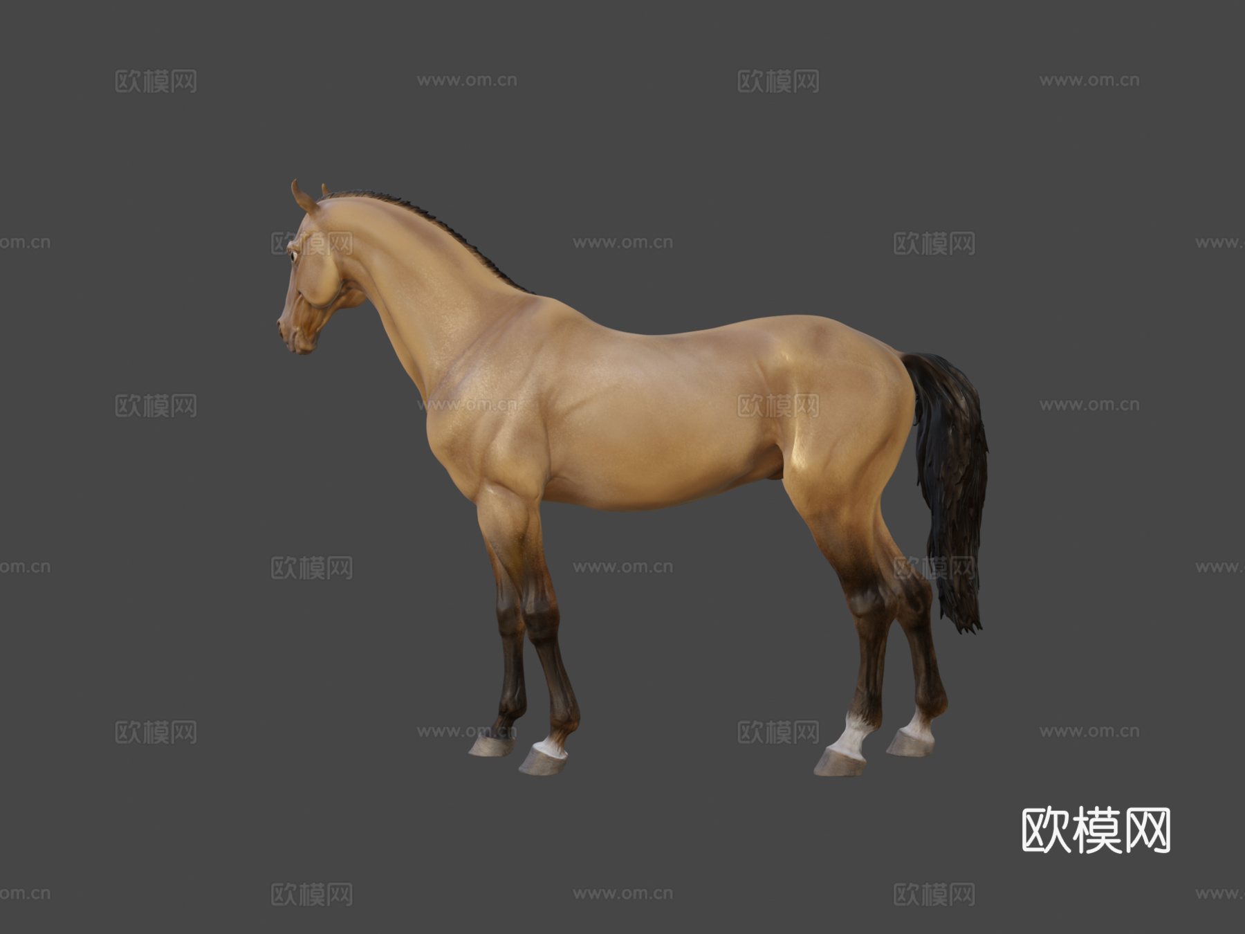 马-3D雕刻3d模型