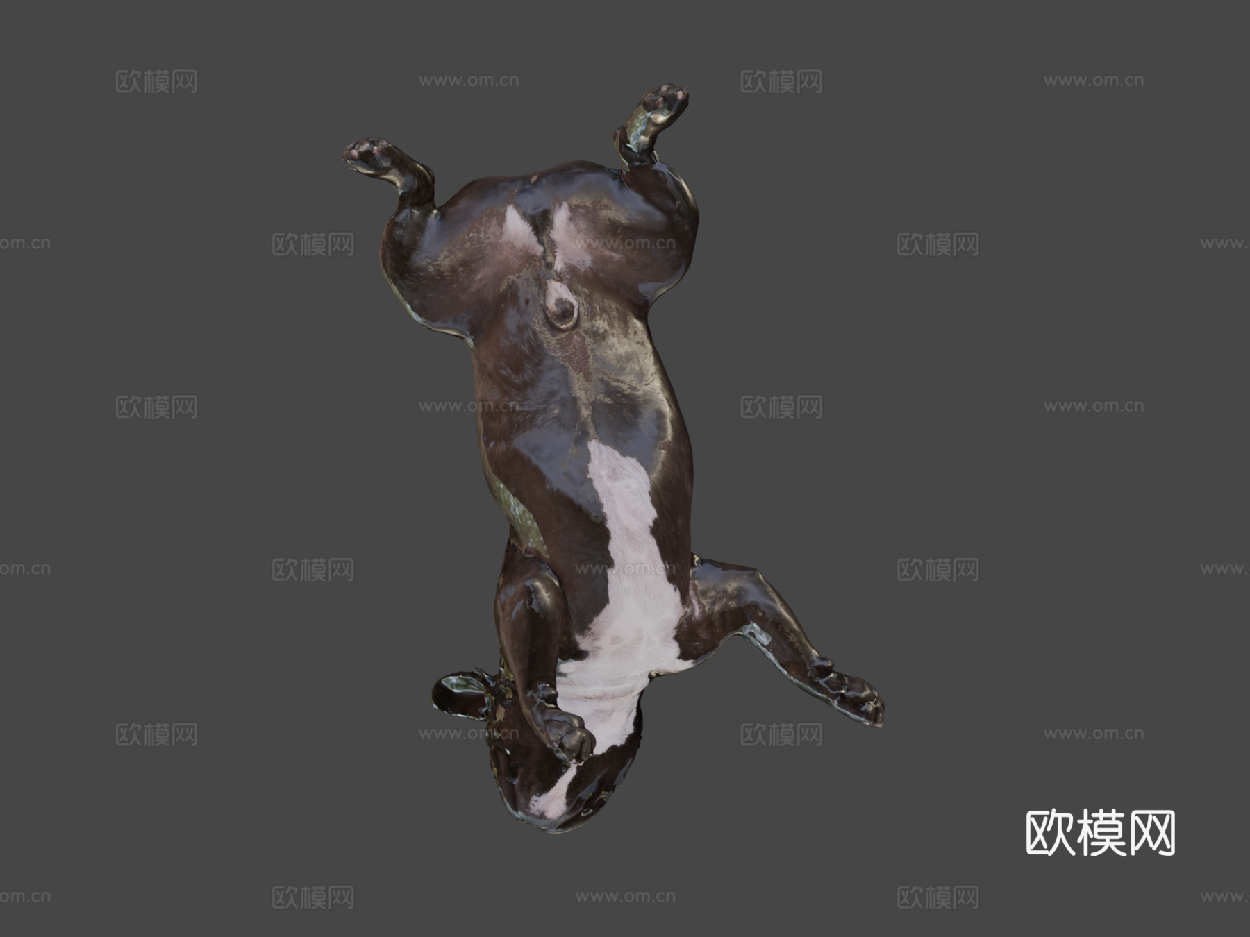 狗B-113-斗牛犬3d模型