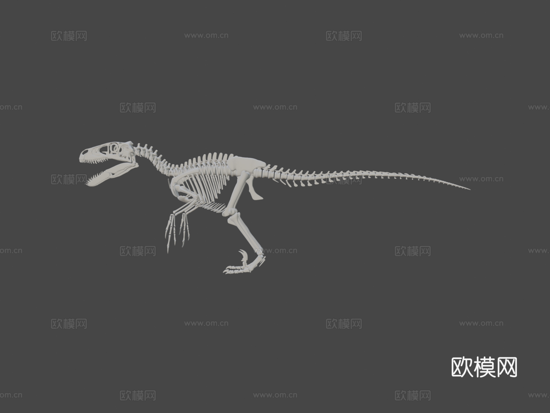 犹他盗龙骨架3d模型