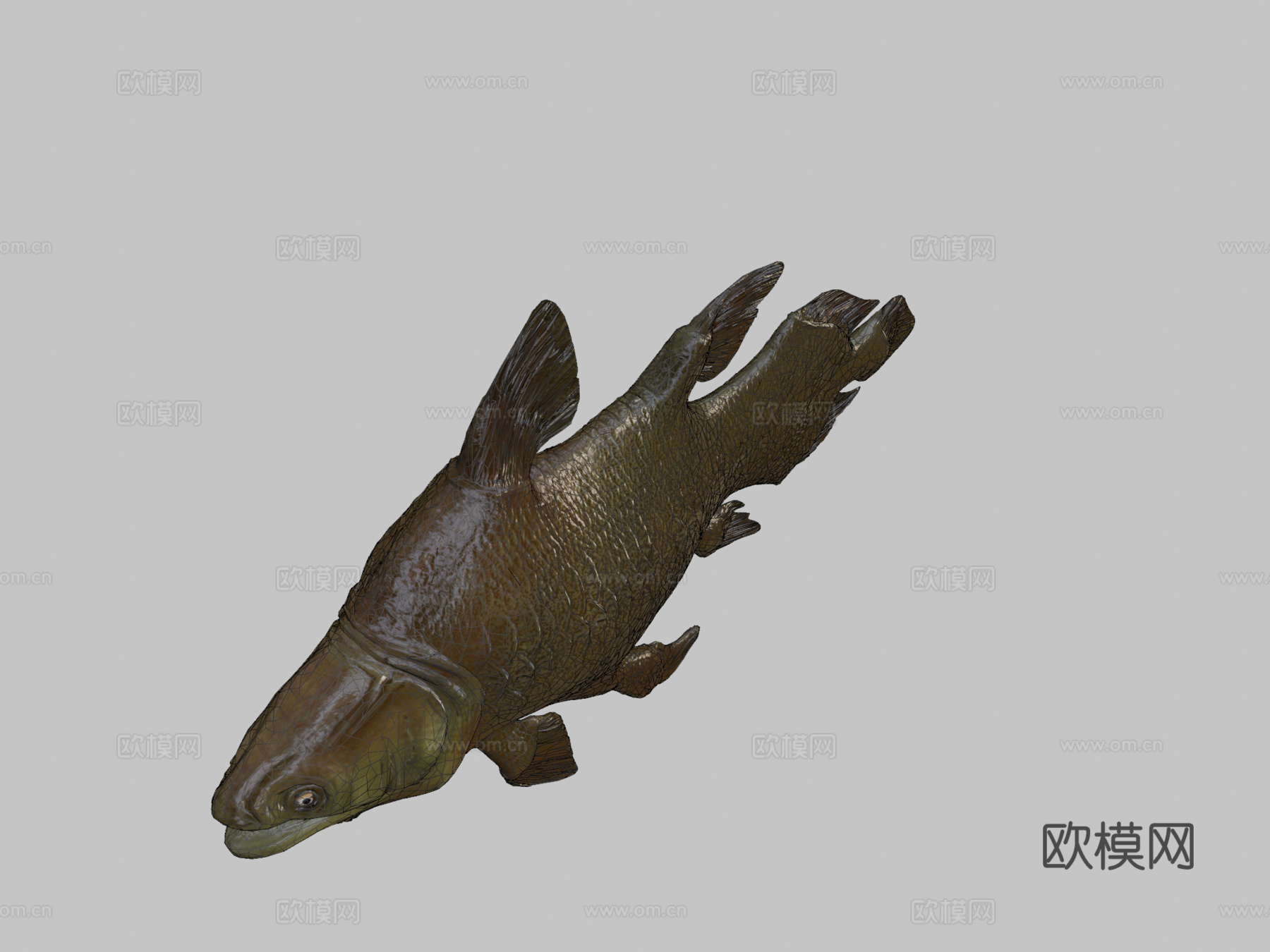 莫索尼鱼3d模型