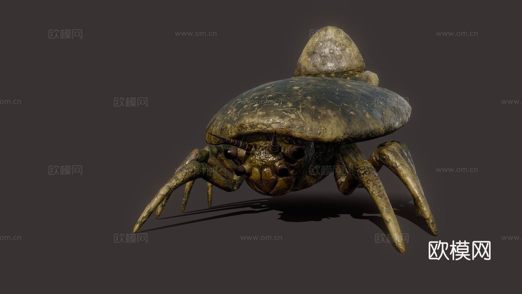 蛛形纲多足生物3d模型