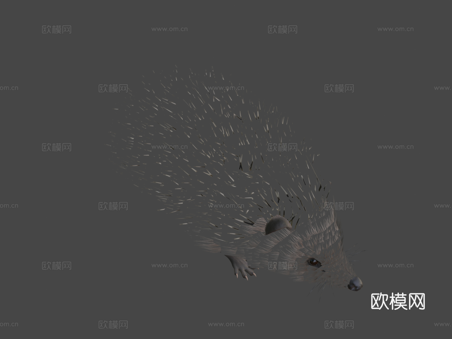 刺猬3d模型