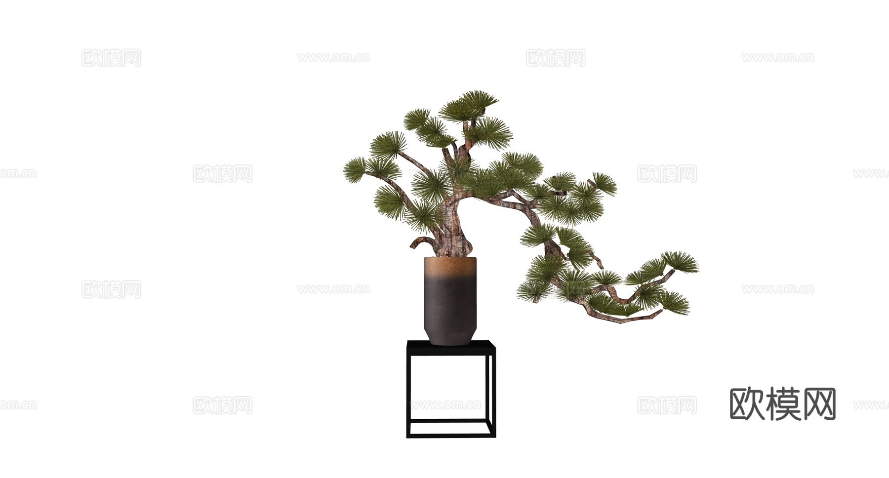新中式迎客松 松树 绿植盆栽 花架su模型