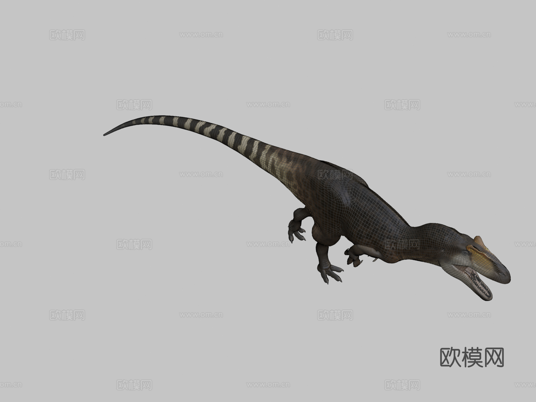 脆弱异特龙3d模型