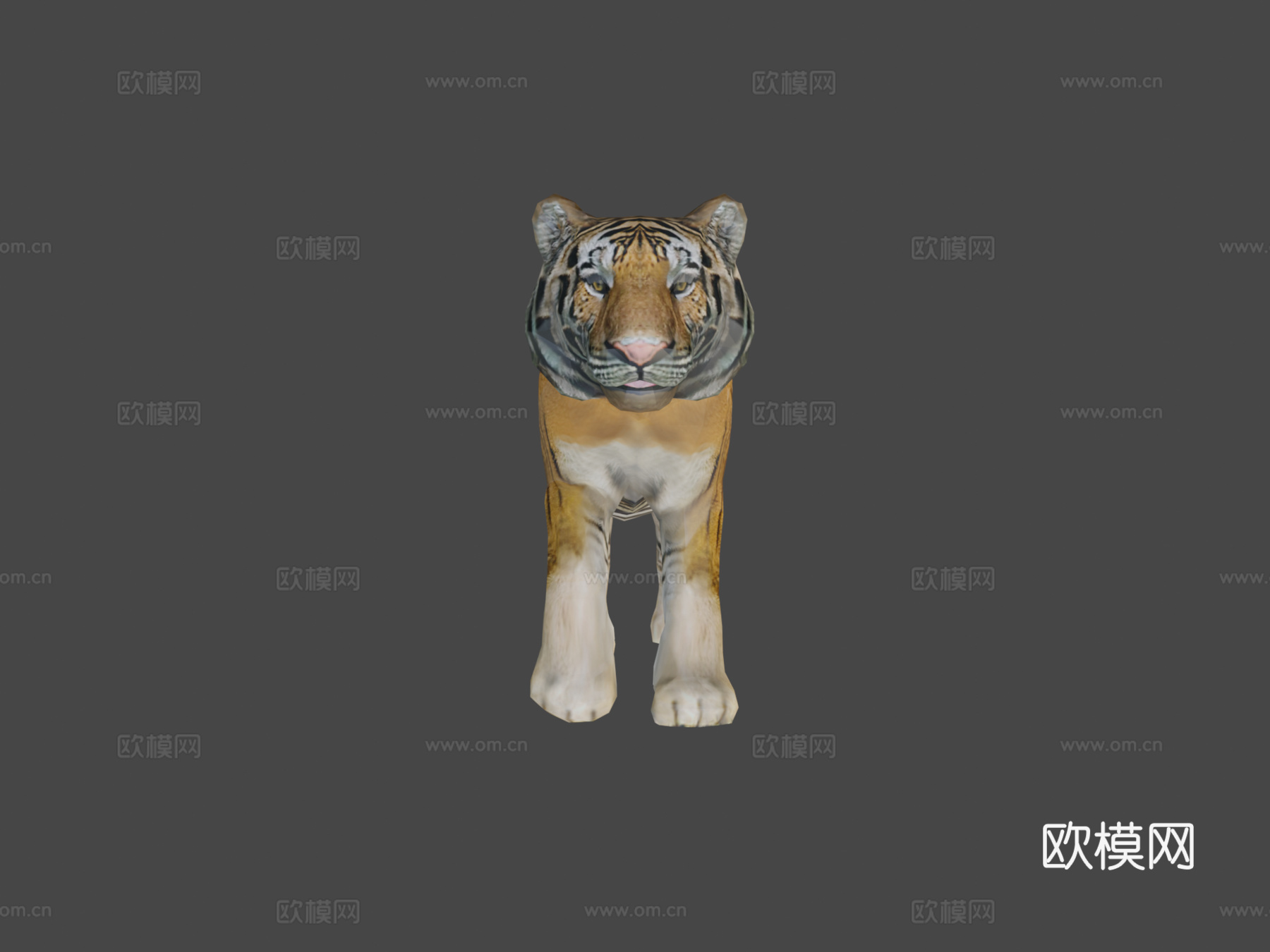 老虎3d模型