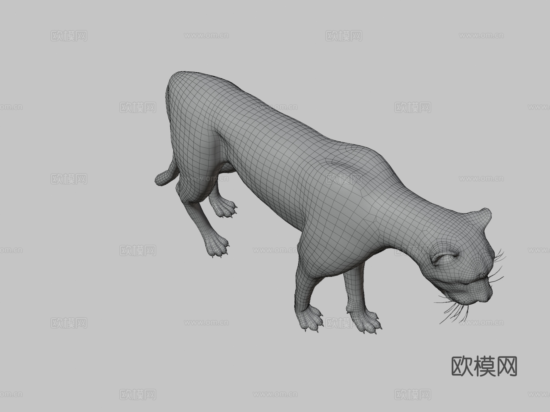 猎豹3d模型