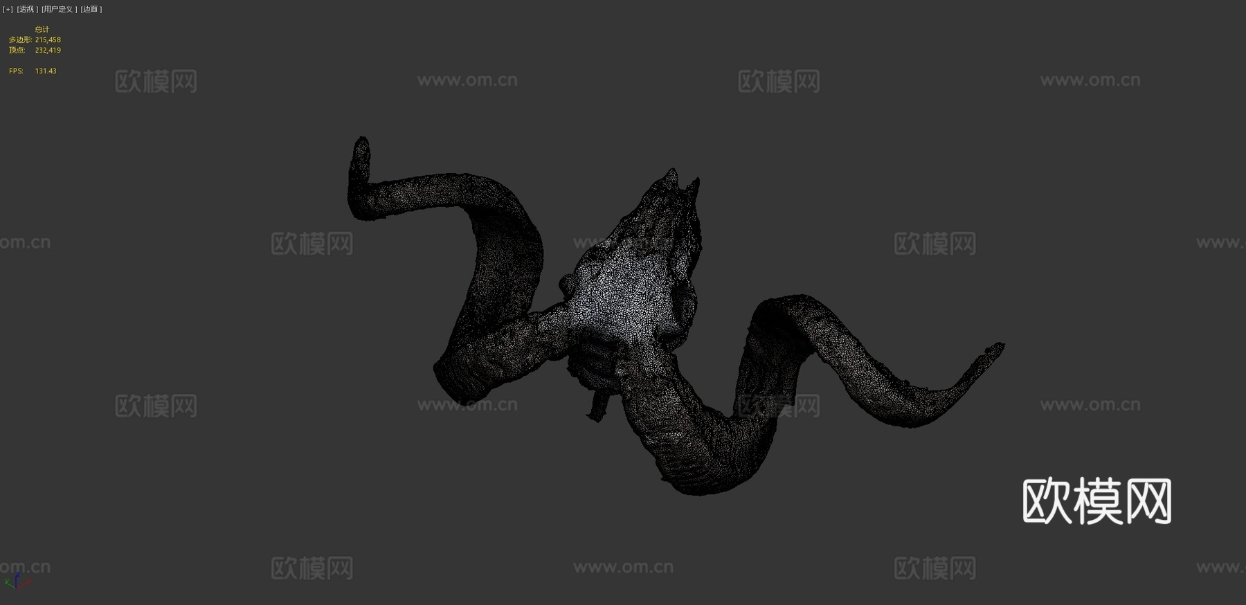 公羊头骨3d模型