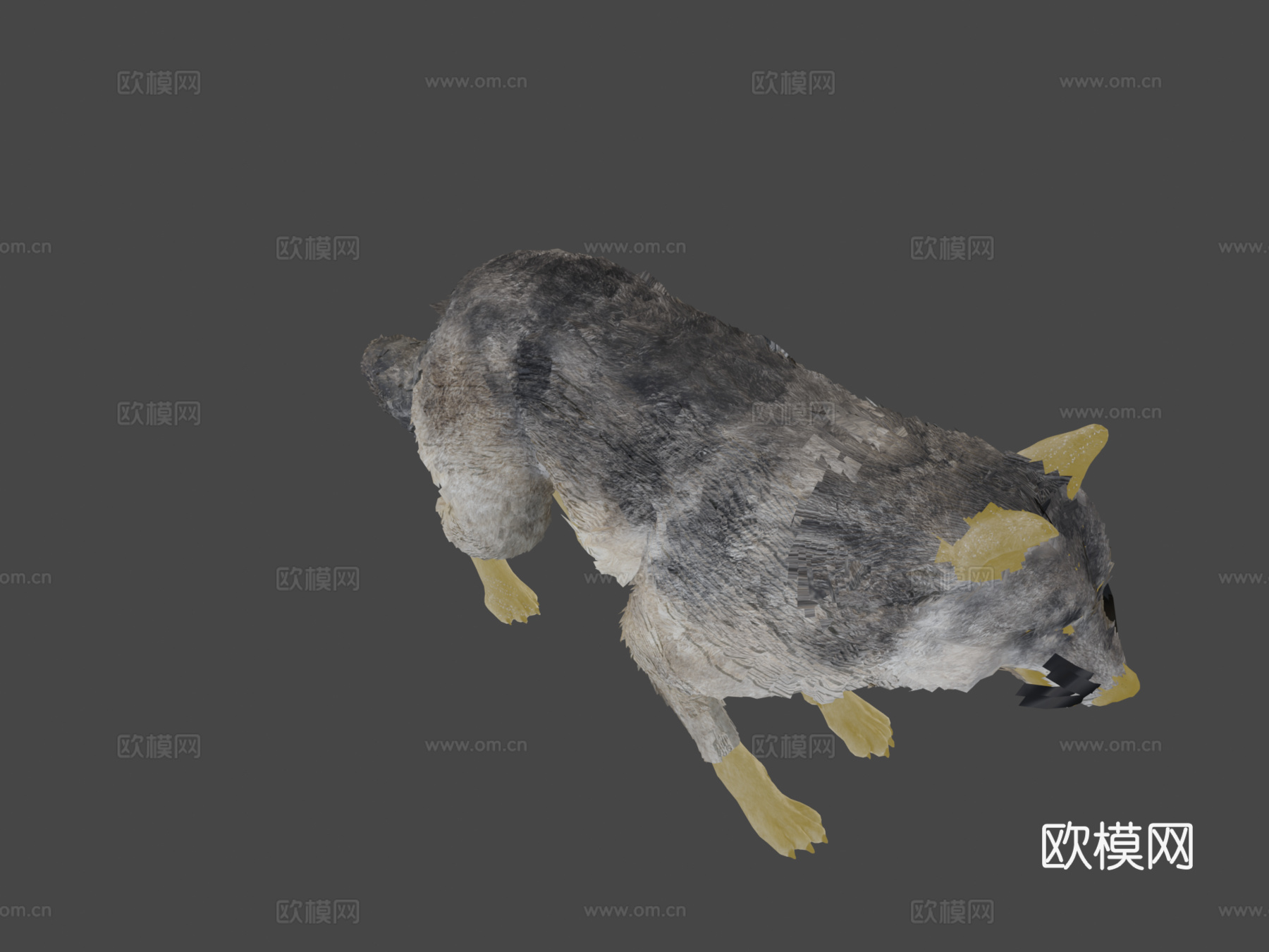 毛茸茸的狼3d模型