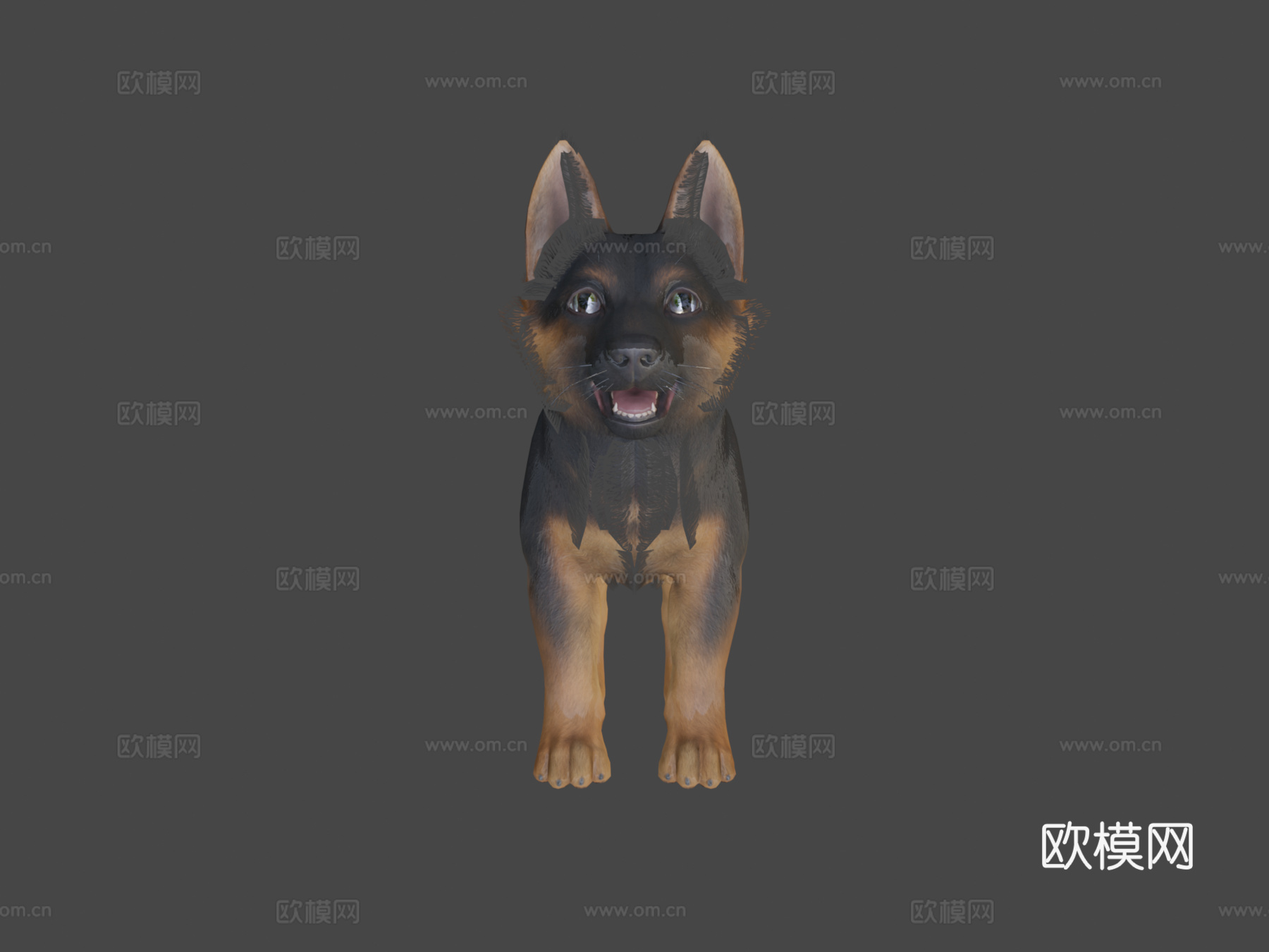 幼犬-牧羊犬3d模型