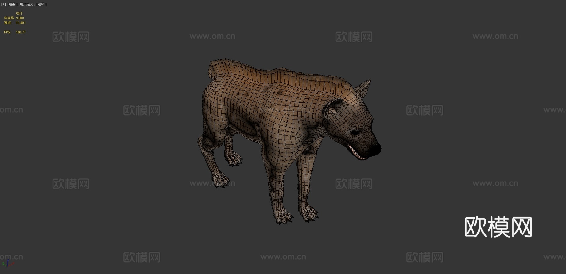 鬣狗3d模型