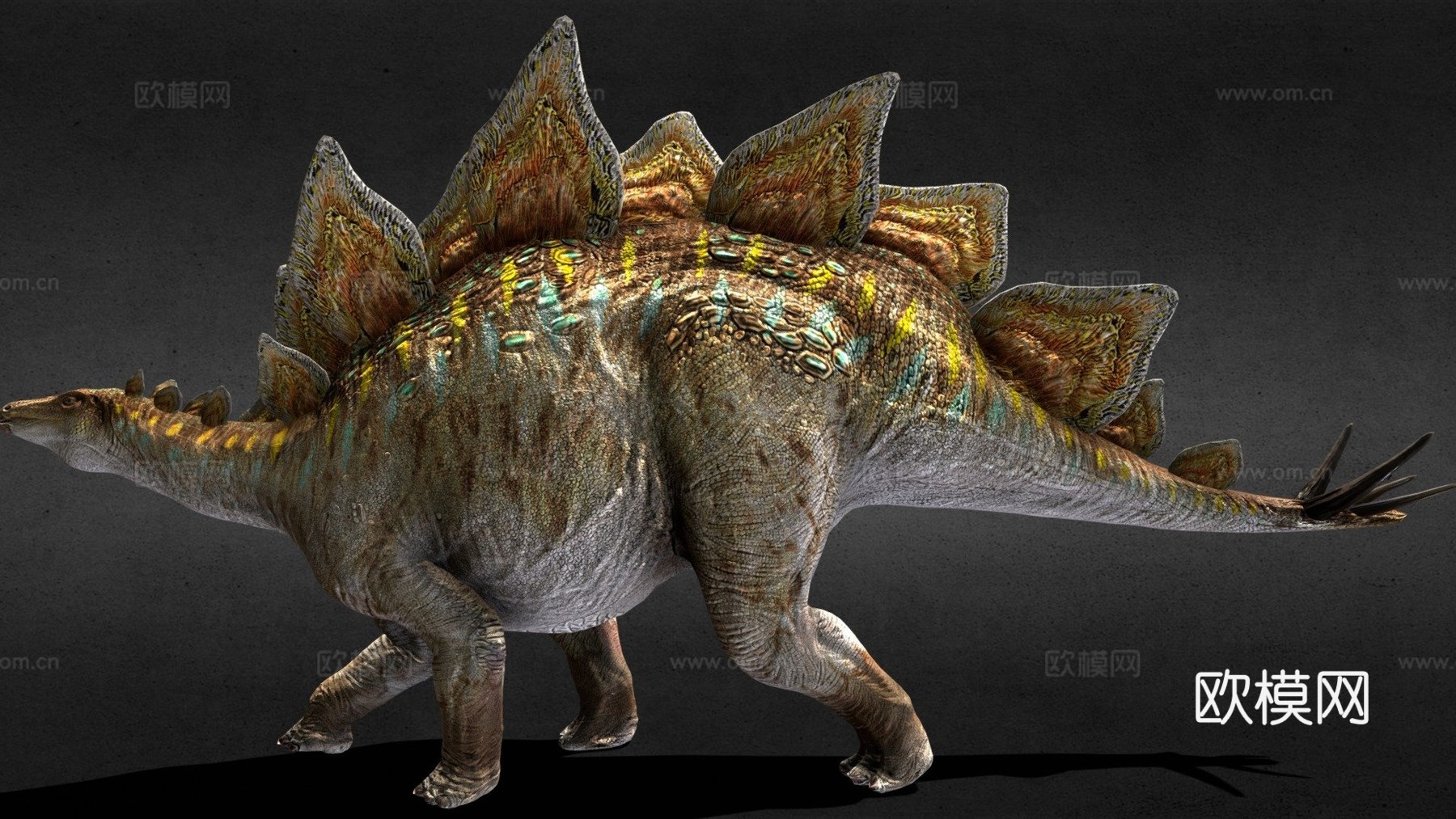 剑龙3d模型