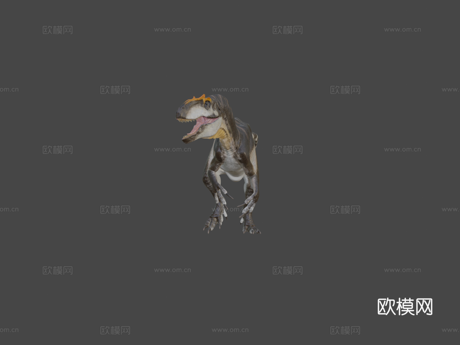 脆弱异特龙3d模型