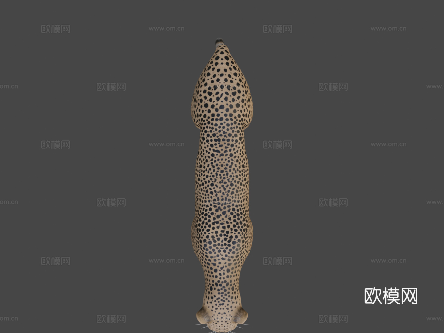 猎豹3d模型