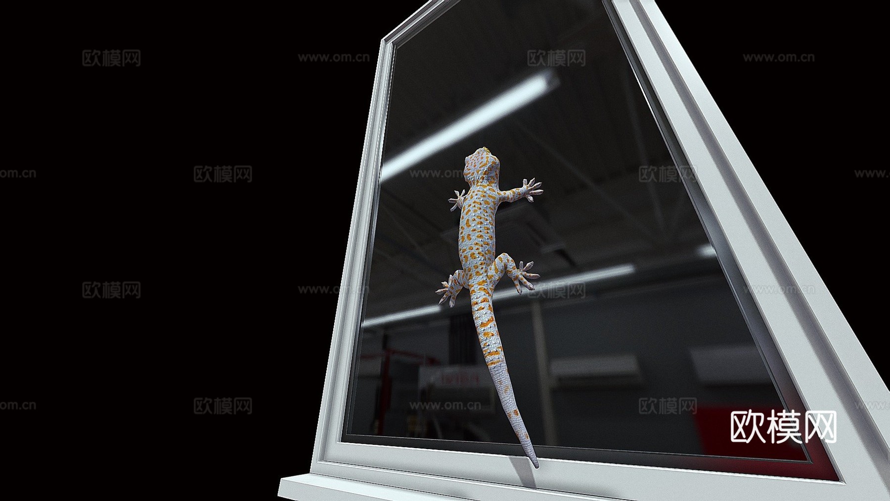 模型48-蛤蚧攀爬动画3d模型